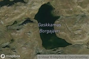 Gaskkamus Borgajavri