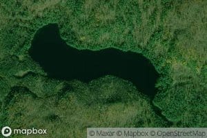 Lac Timmons