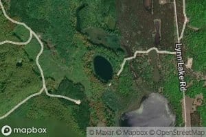 King Pond