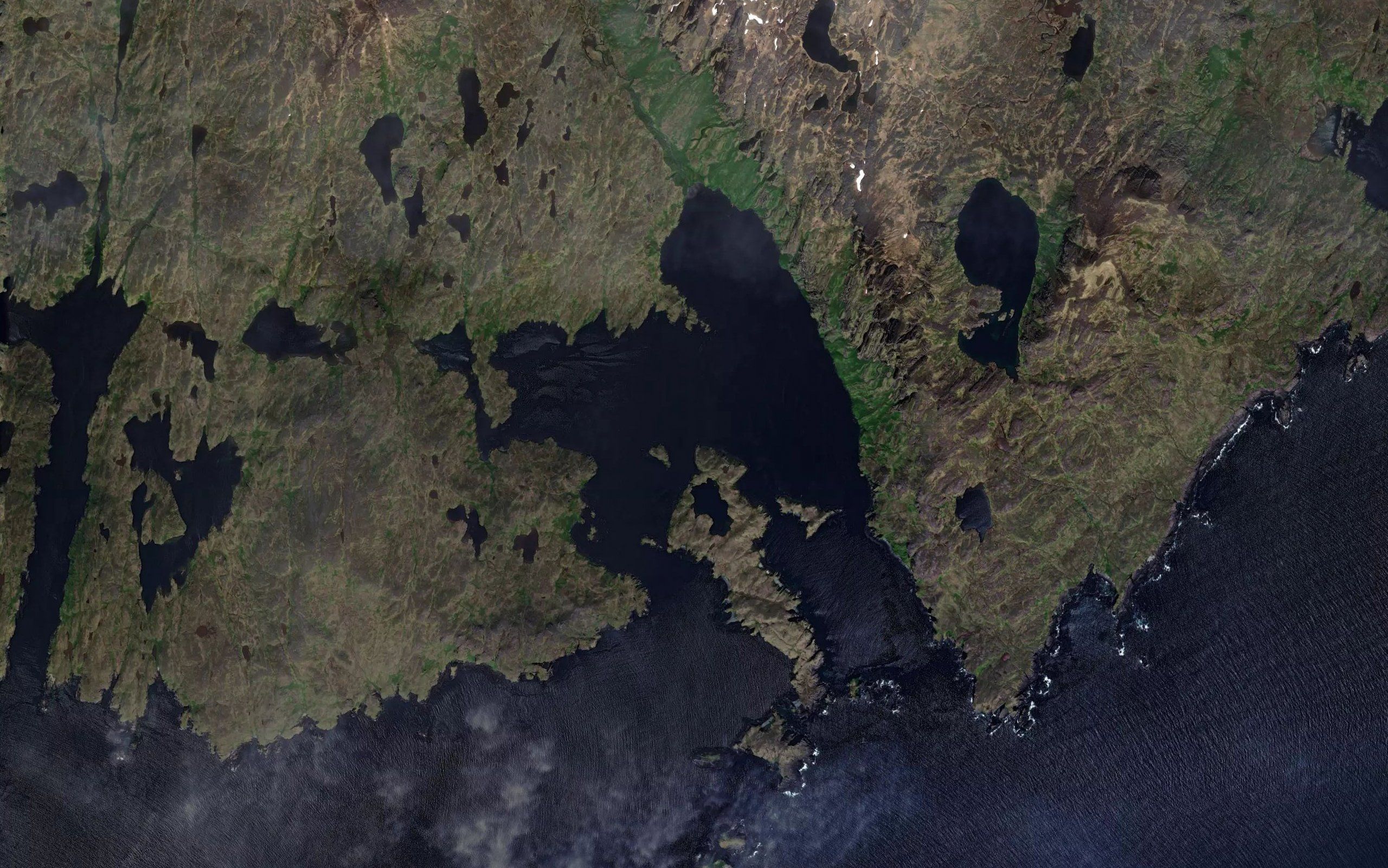 Camel Cove