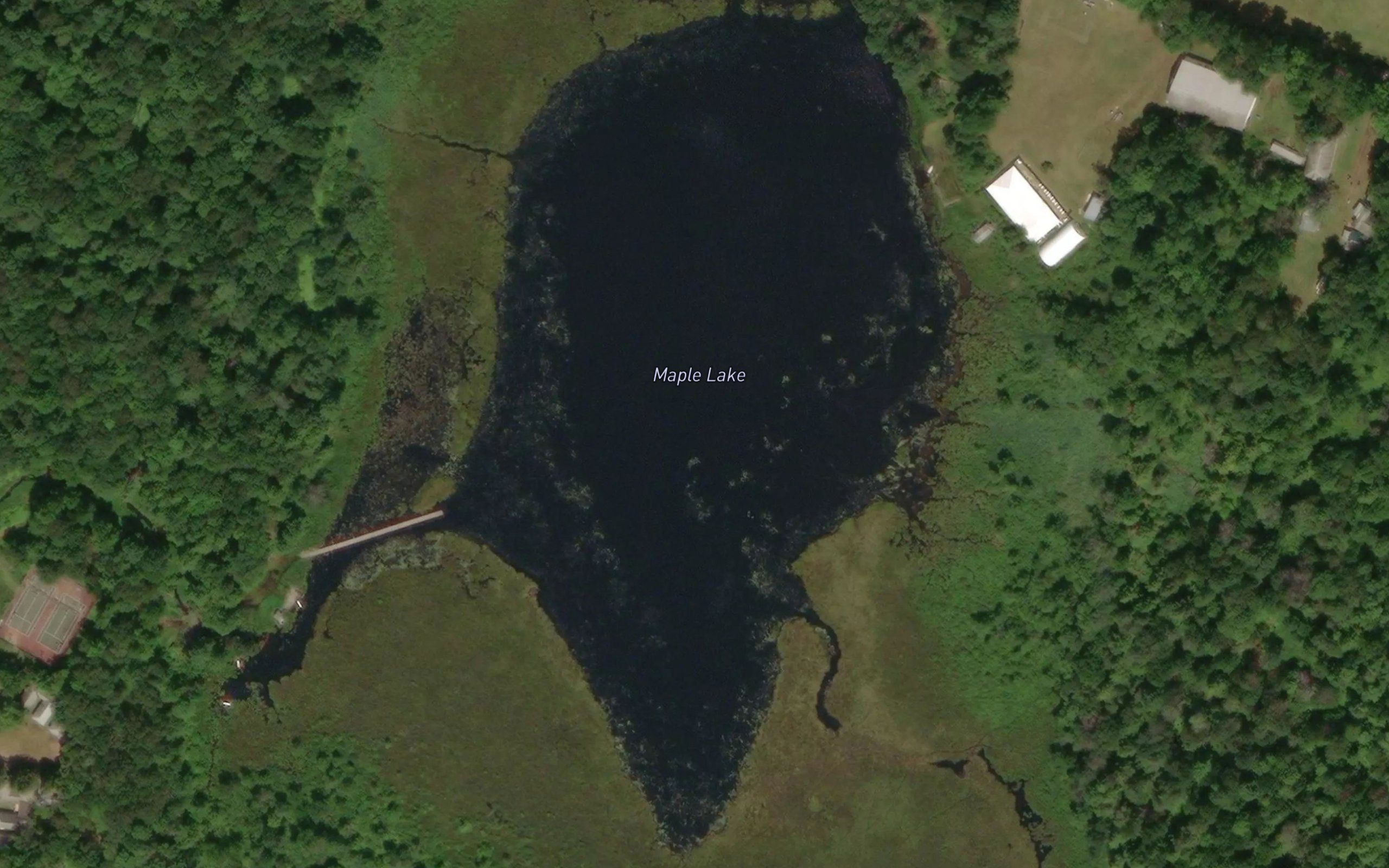 Maple Lake