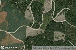 Point Spring
