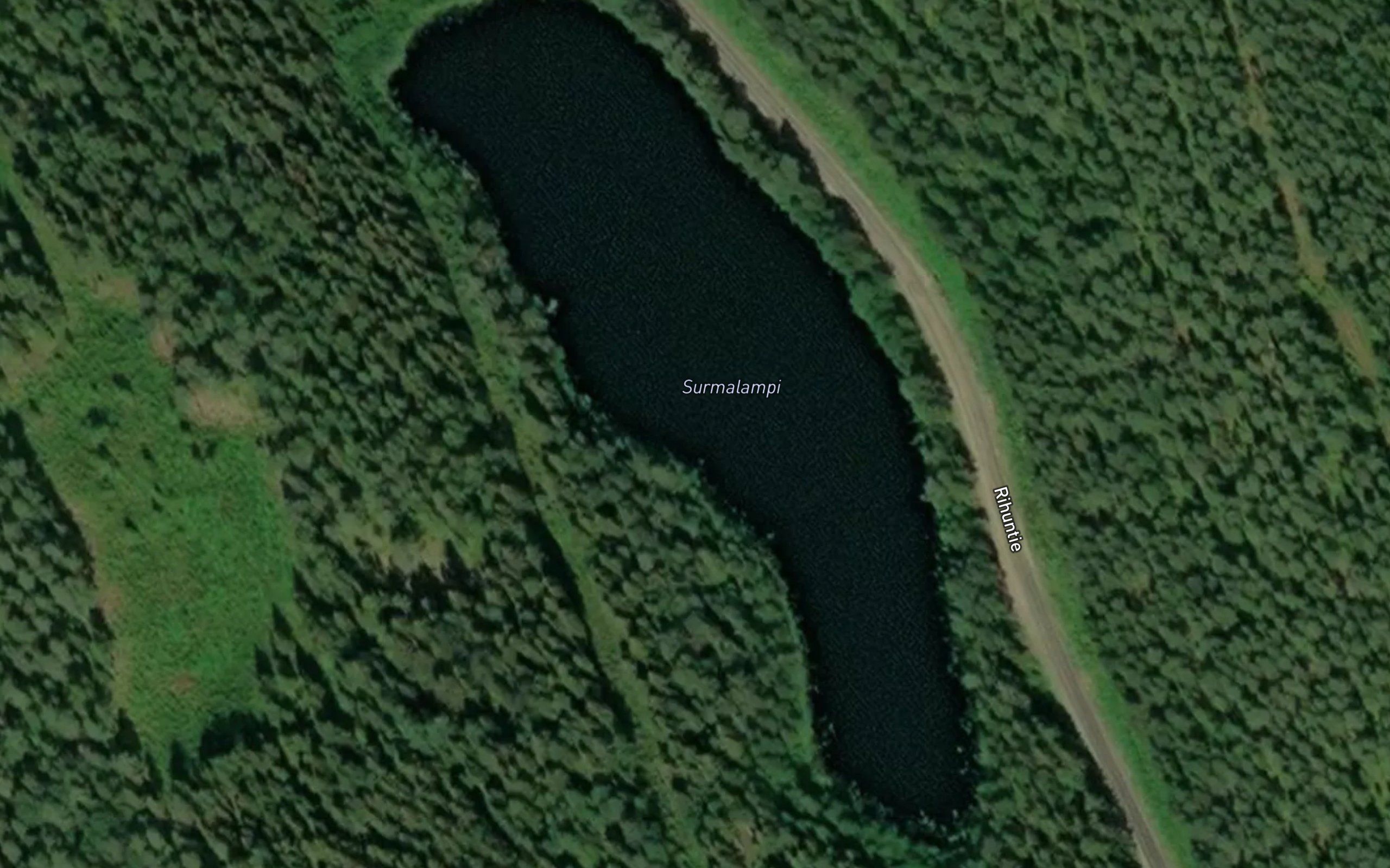 Surmalampi