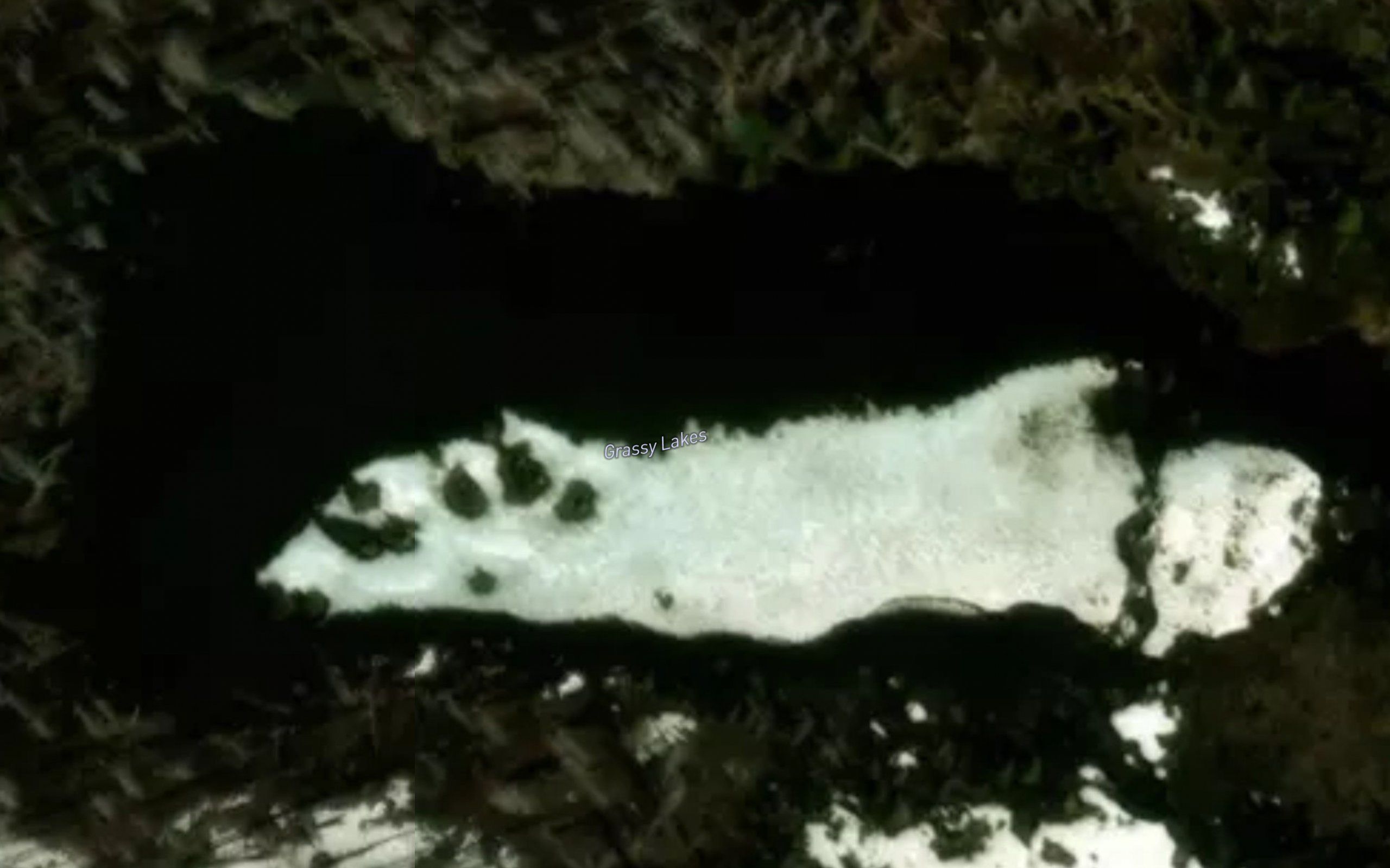 Grassy Lakes