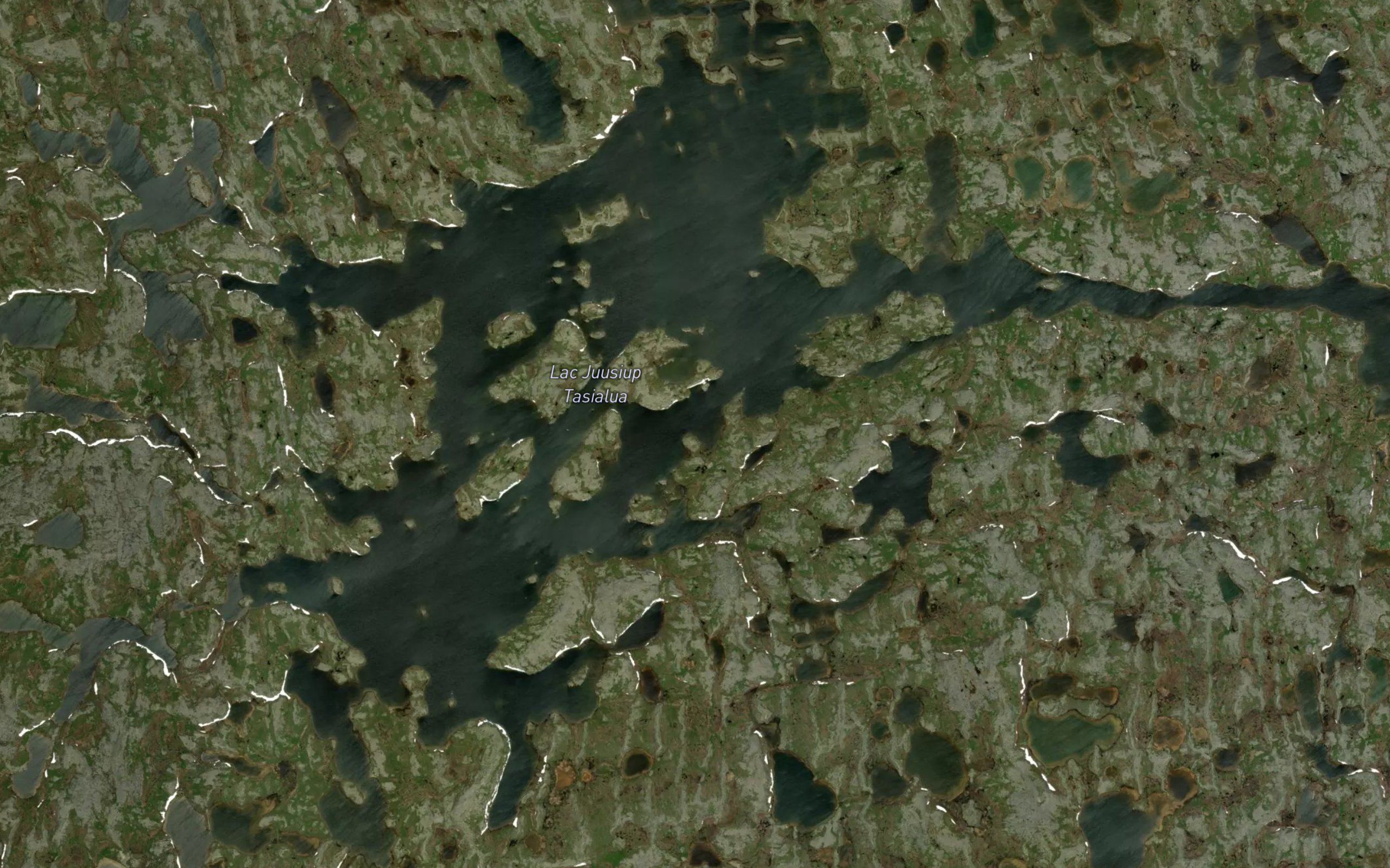 Lac Juusiup Tasialua