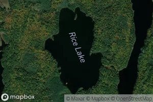 Rice Lake