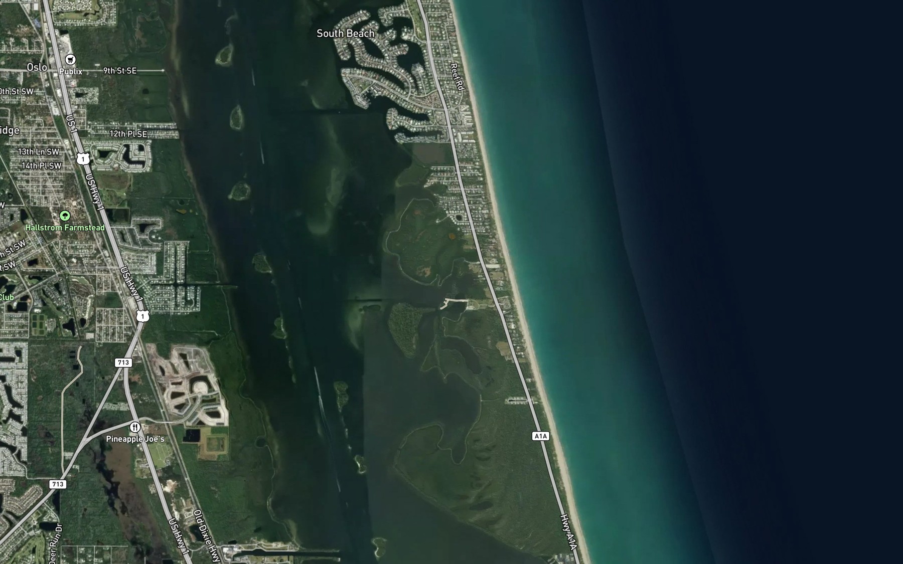 Satellite map of the Round Island