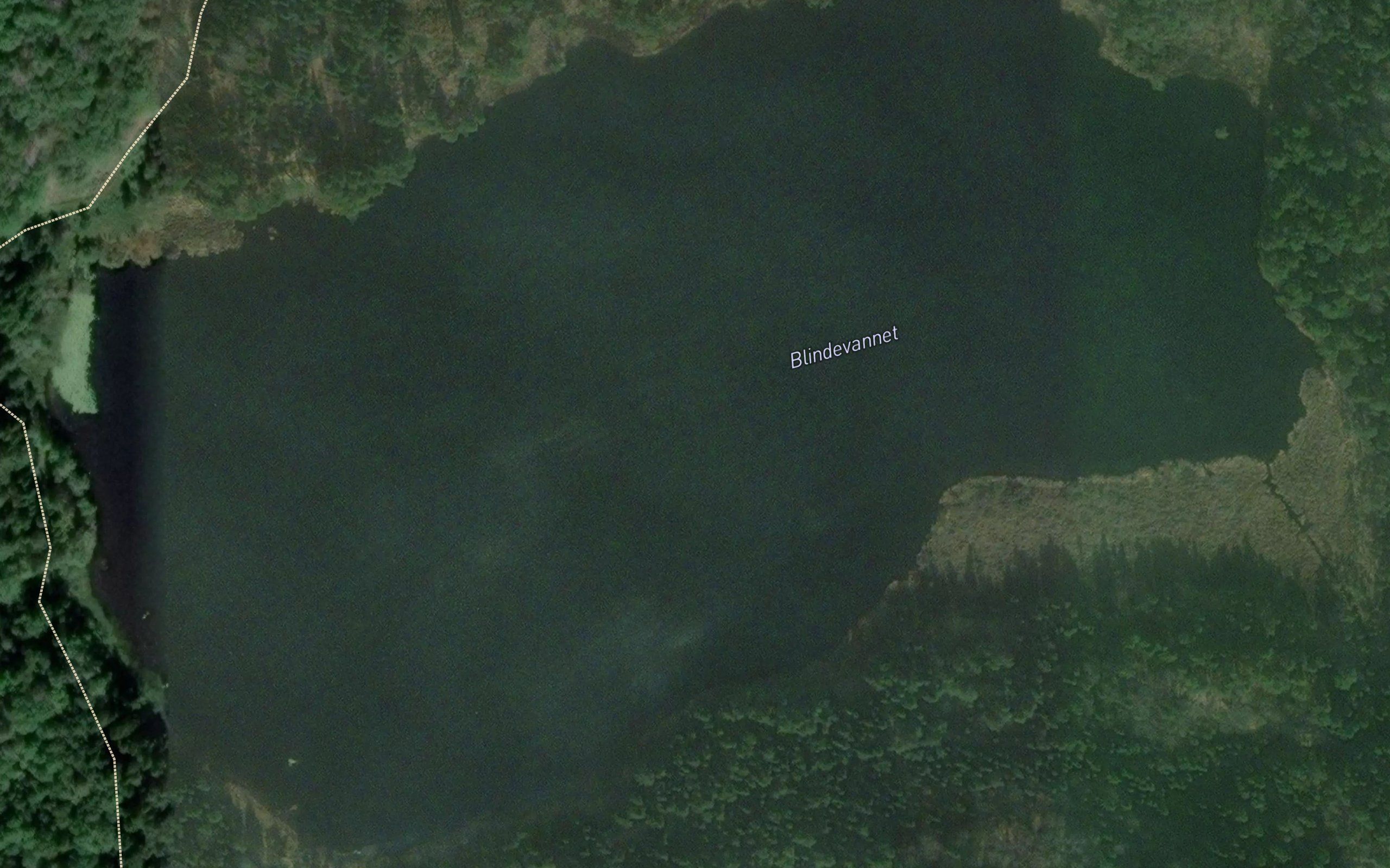 Blindevannet