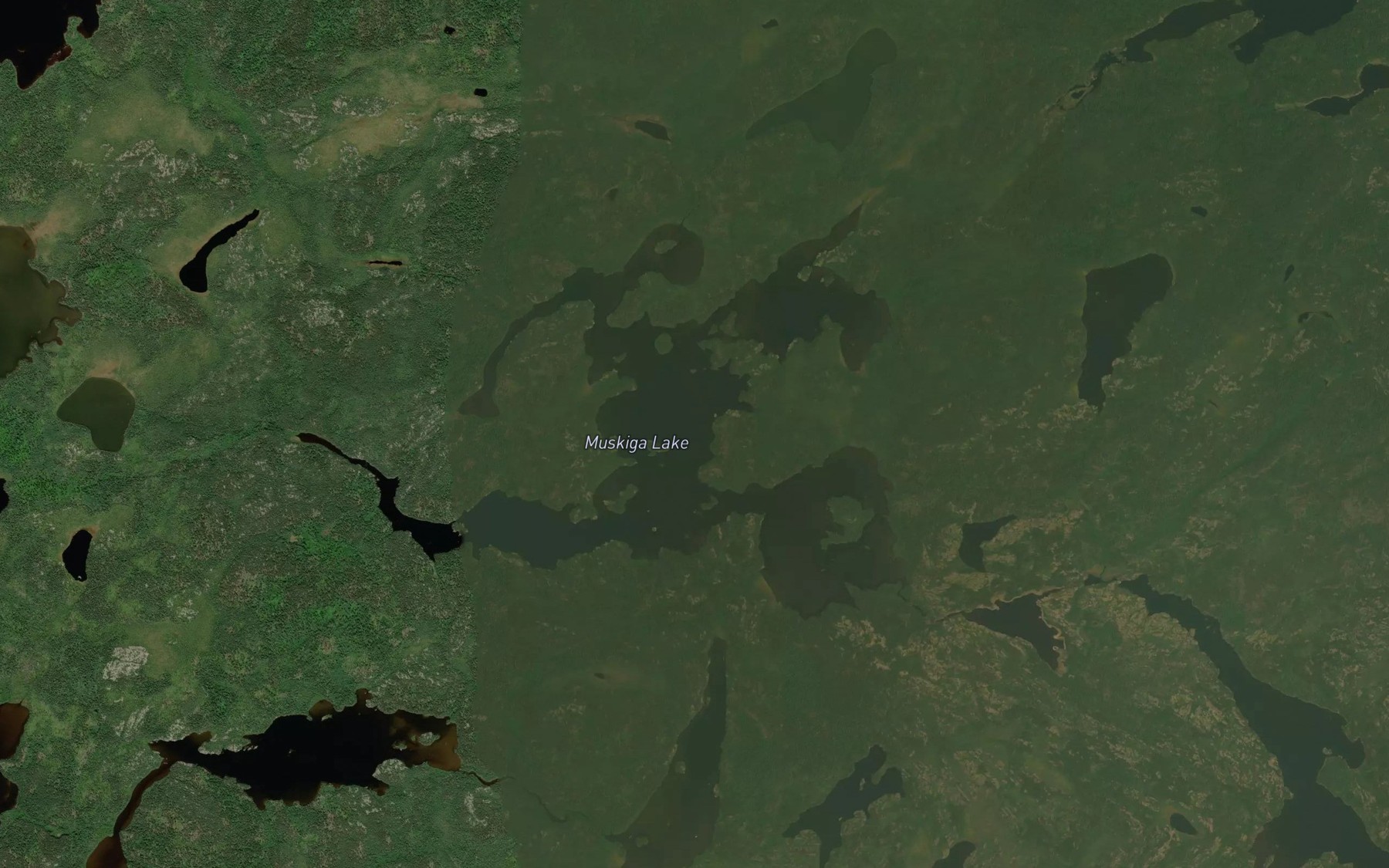 Satellite map of the Muskiga Lake