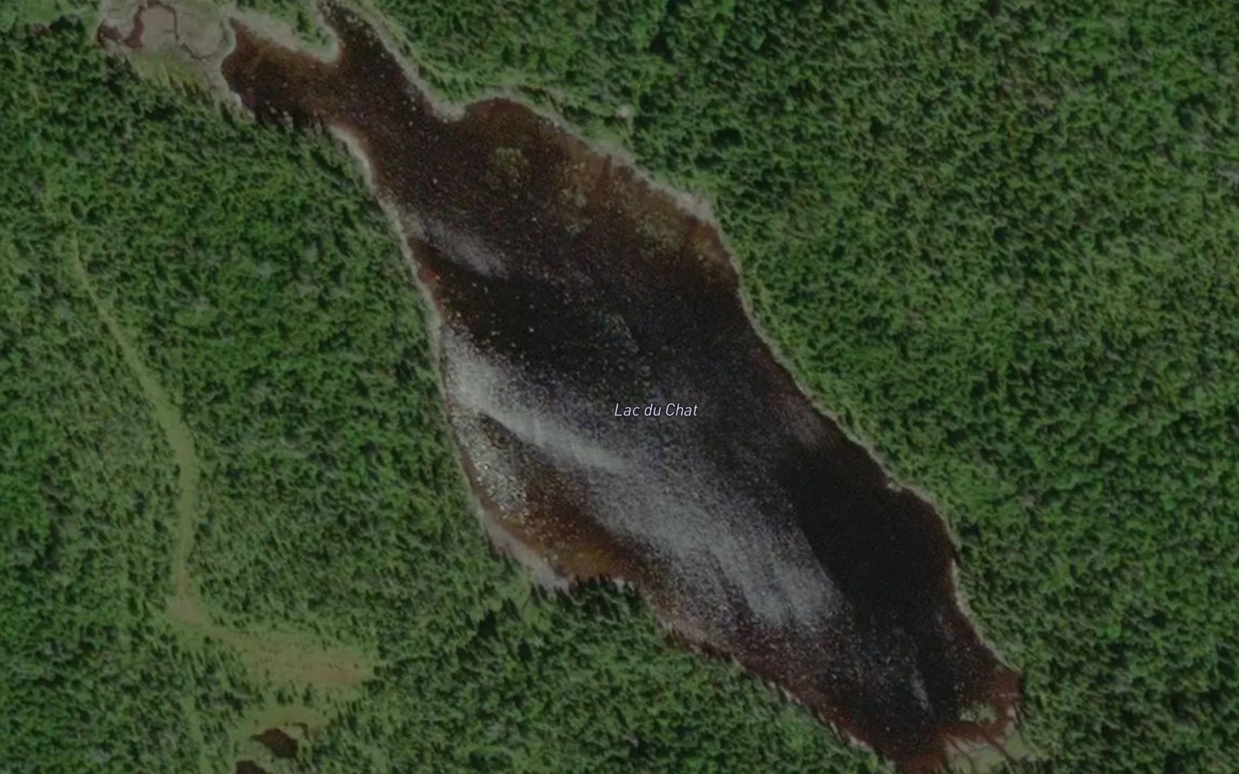 Satellite map of the Lac du Chat