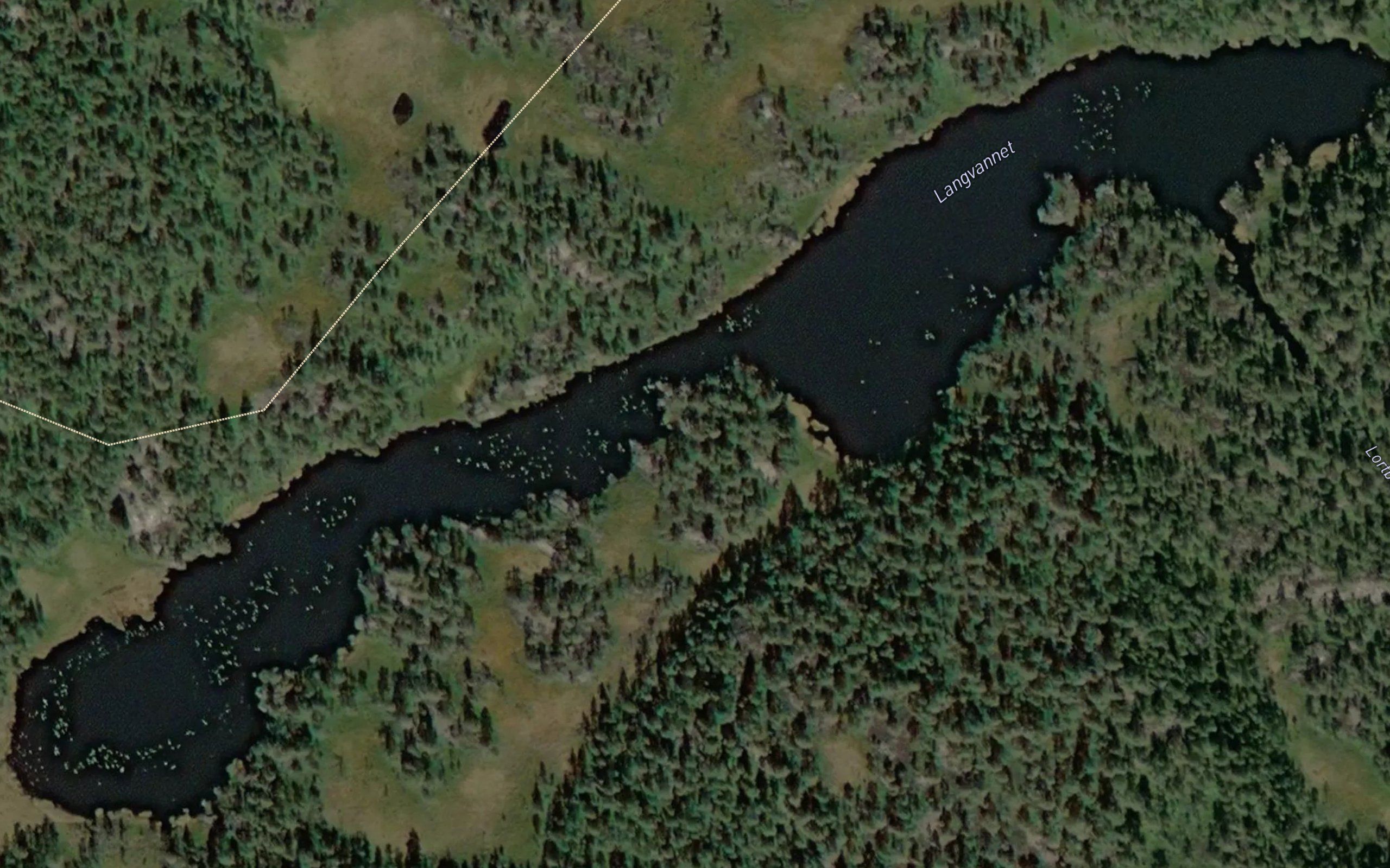 Langvannet