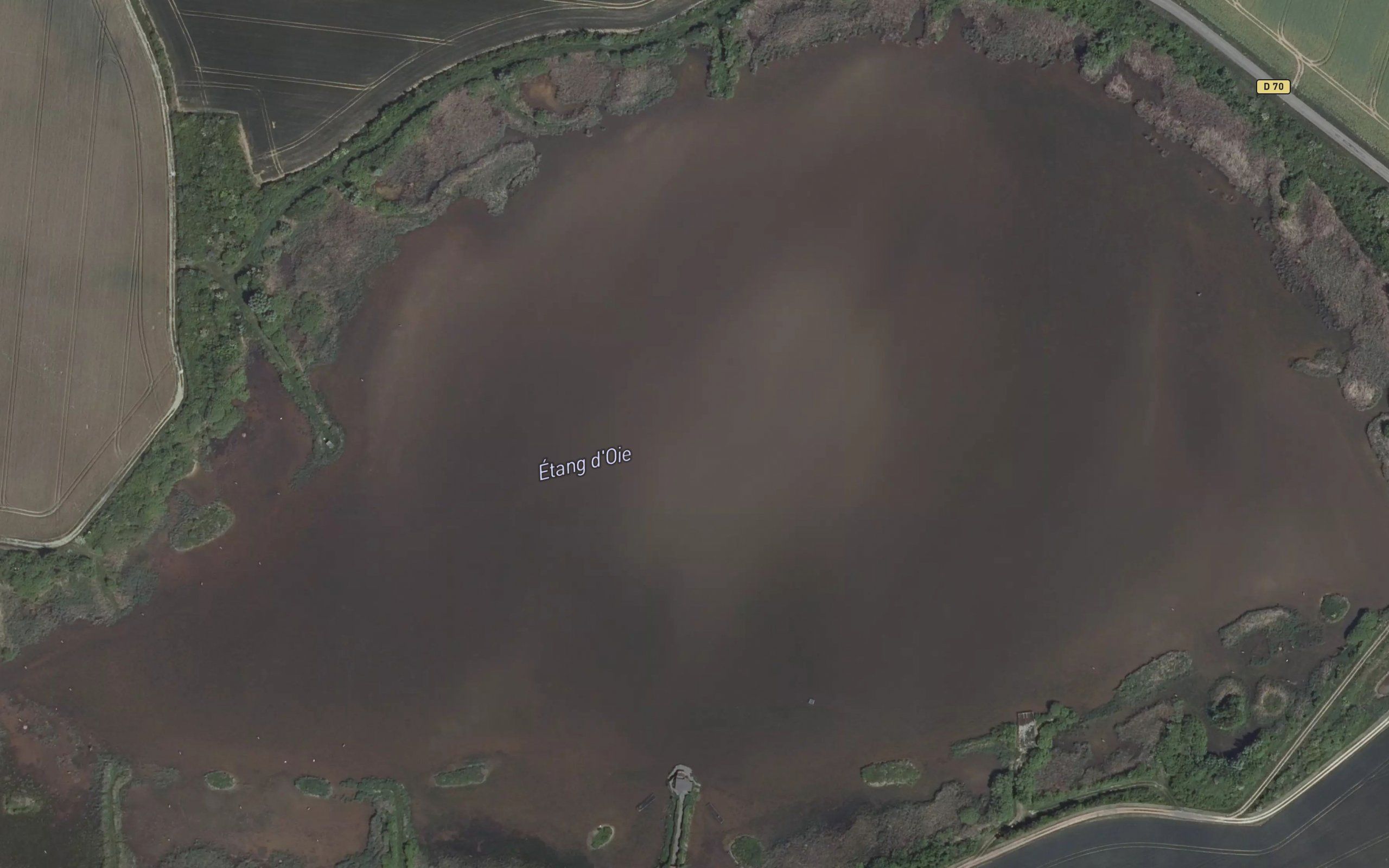 Etang d'Oie