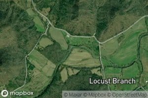 Locust Branch