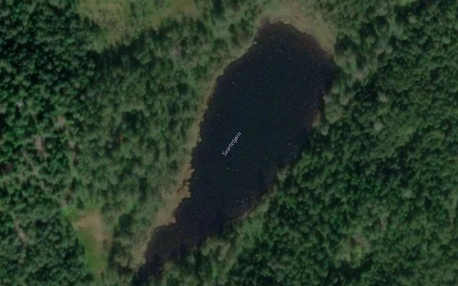 Satellite map of the Svartetjorn