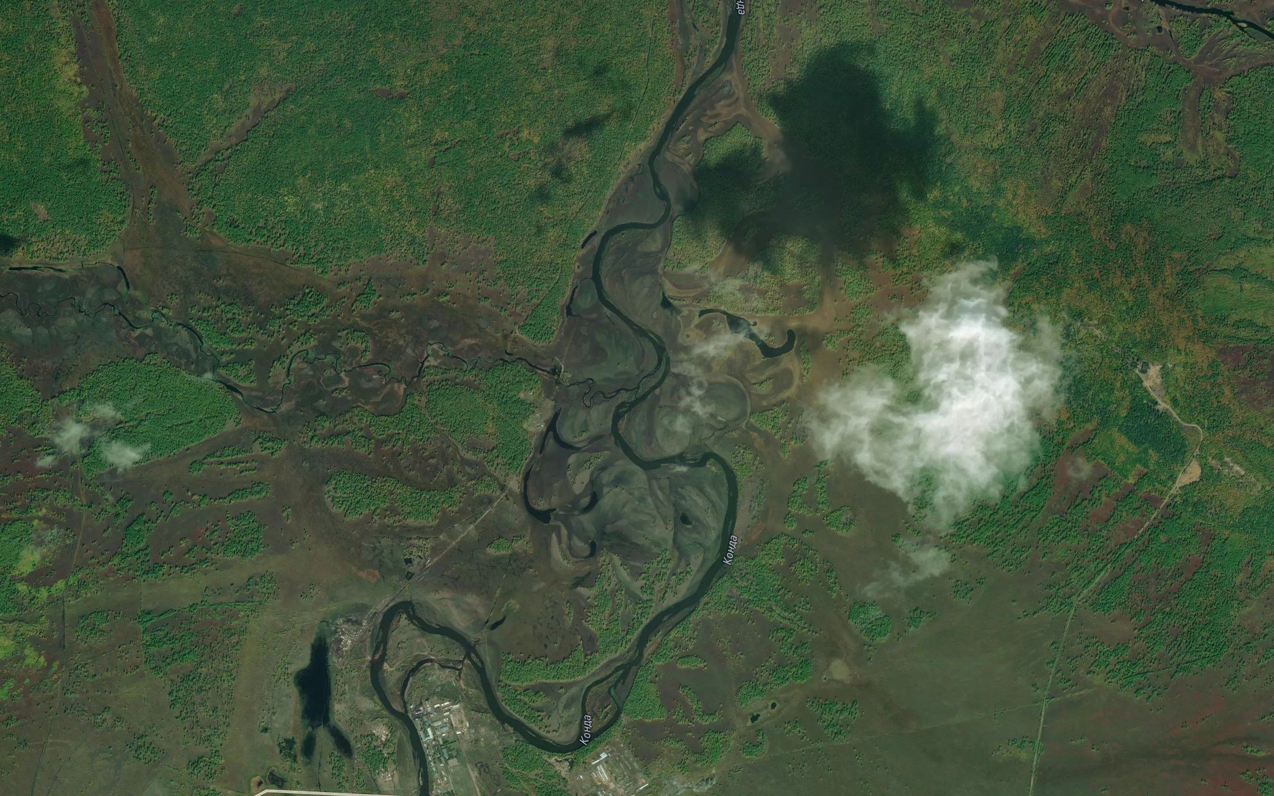Saksyken
