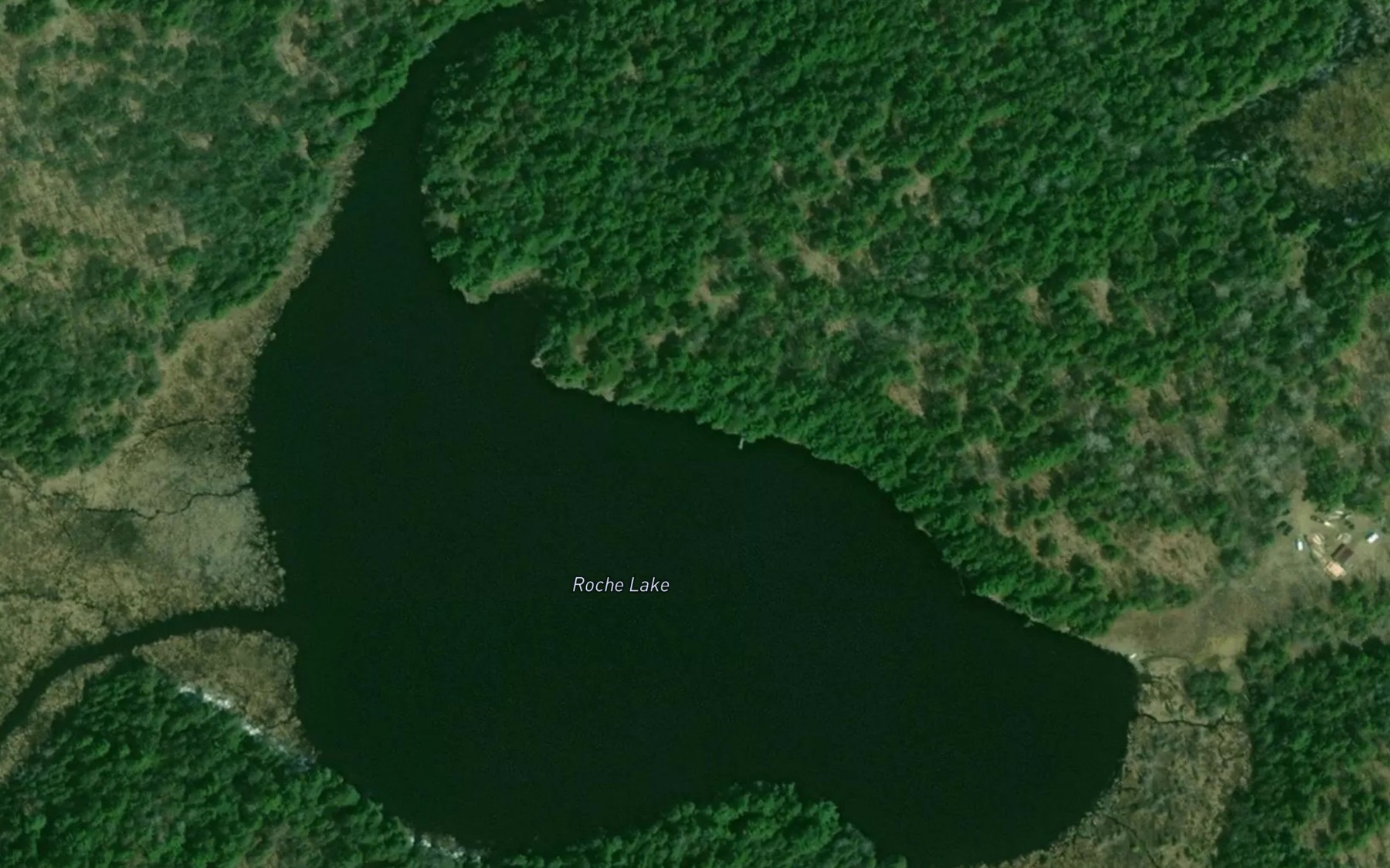 Satellite map of the Roche Lake