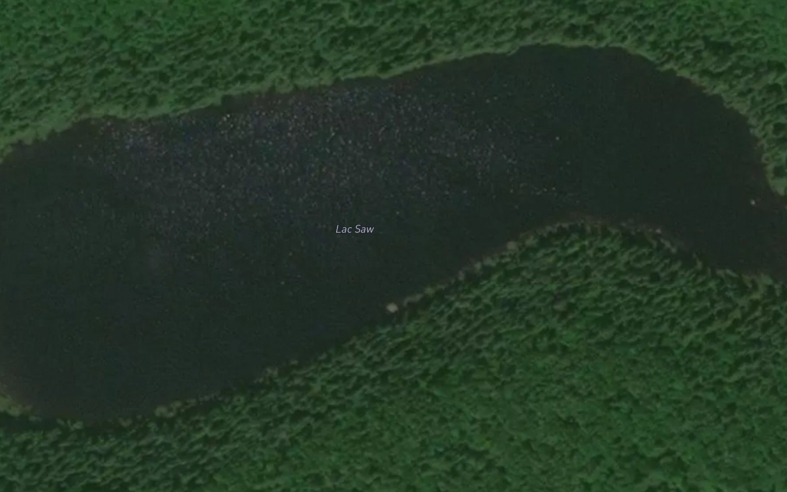 Lac Saw