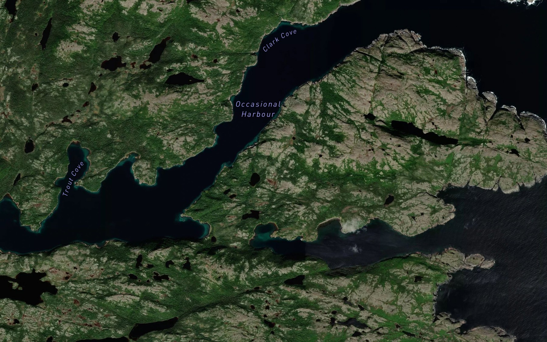 Satellite map of the Bowring Cove
