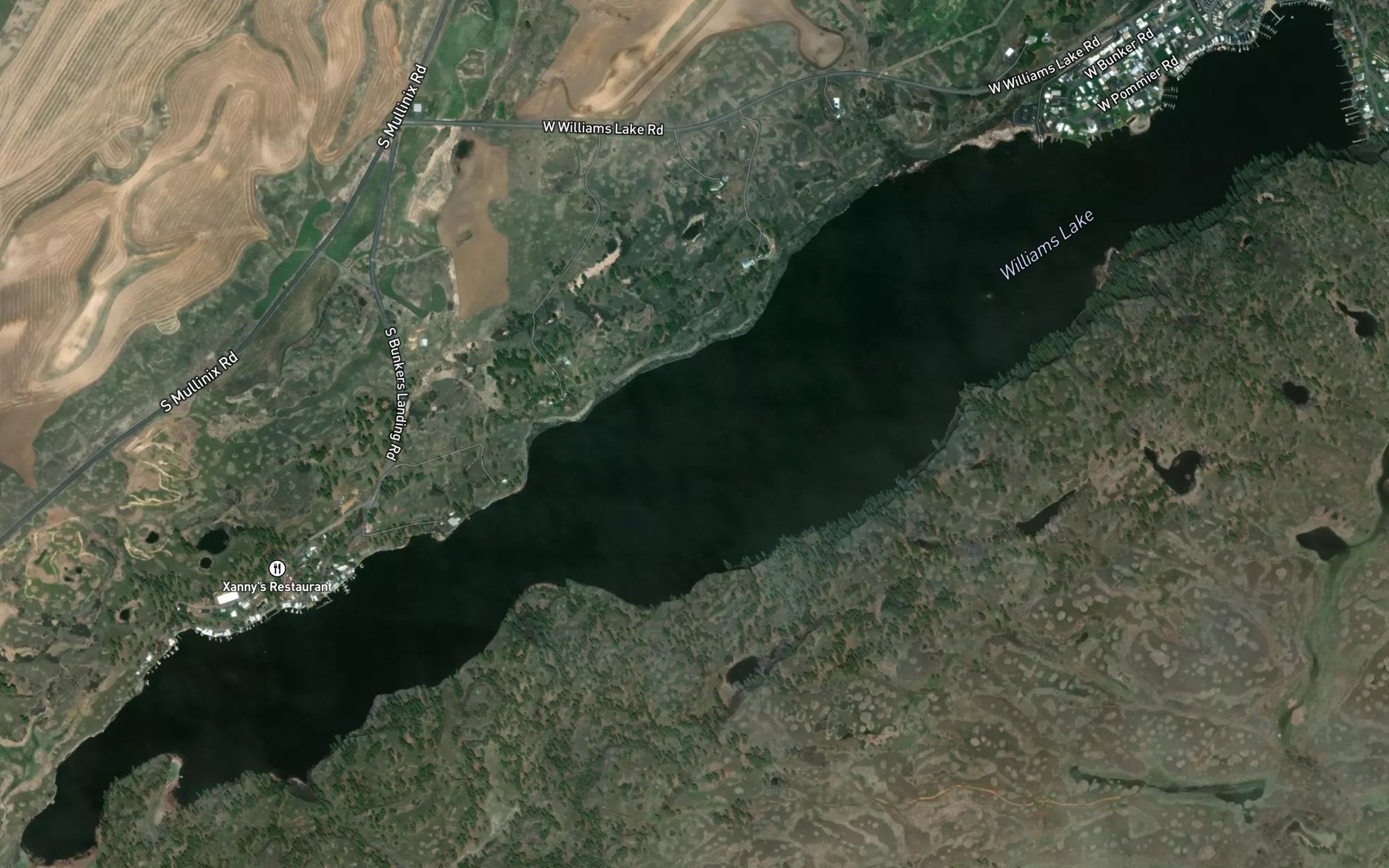 Satellite map of the Williams Lake