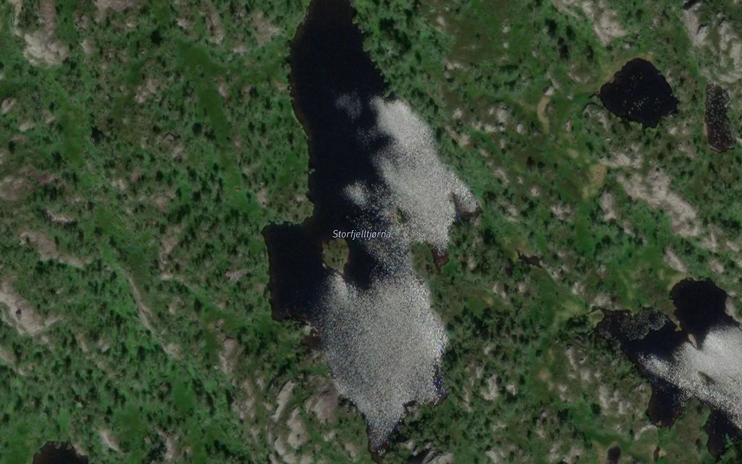 Storefjelltjorna