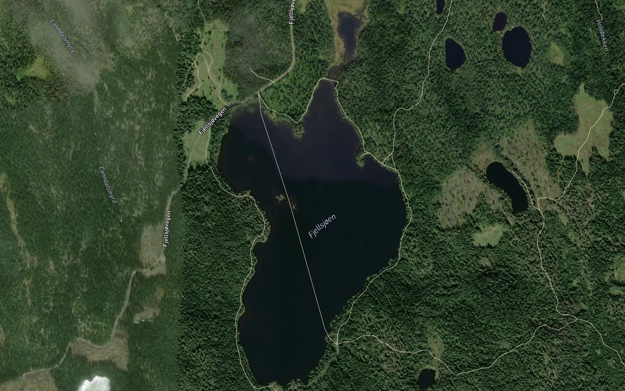 Fjellsjoen