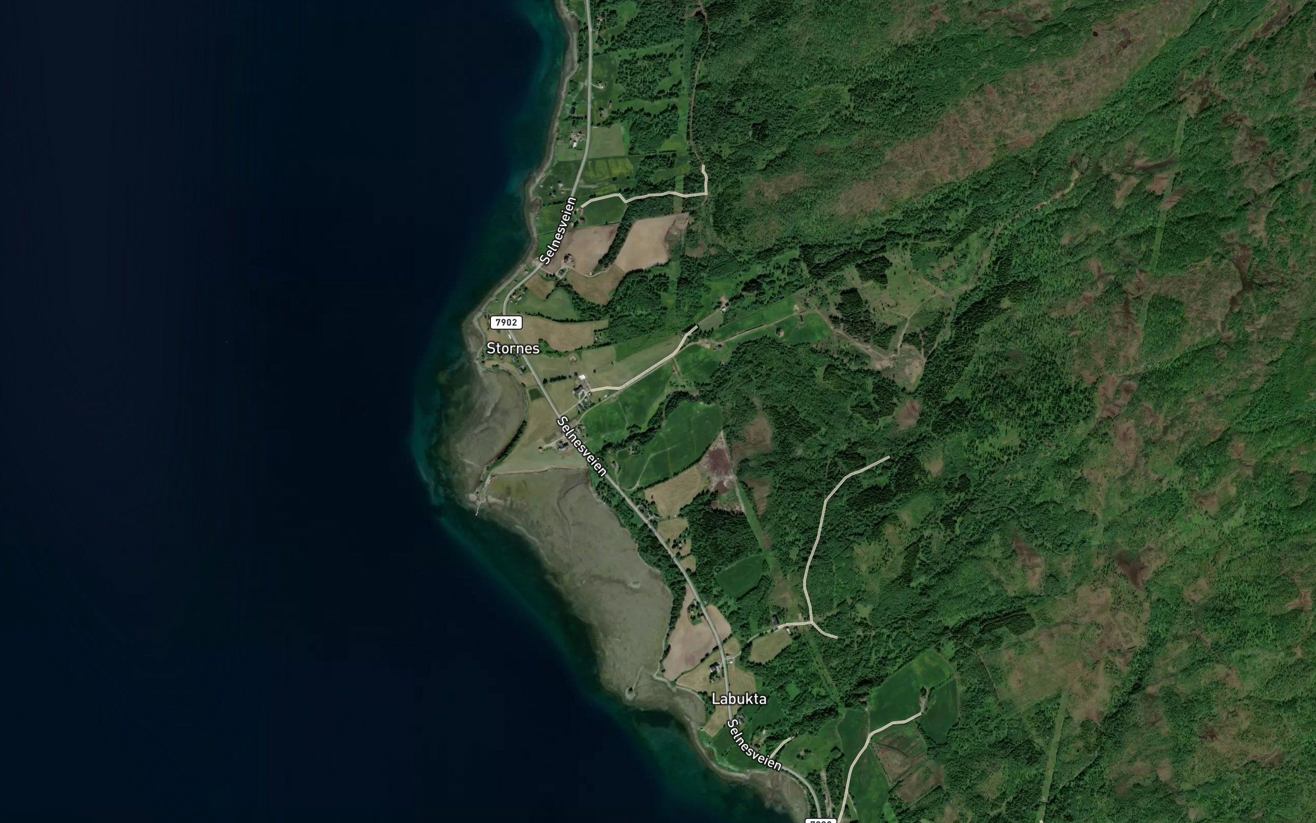 Storneselva