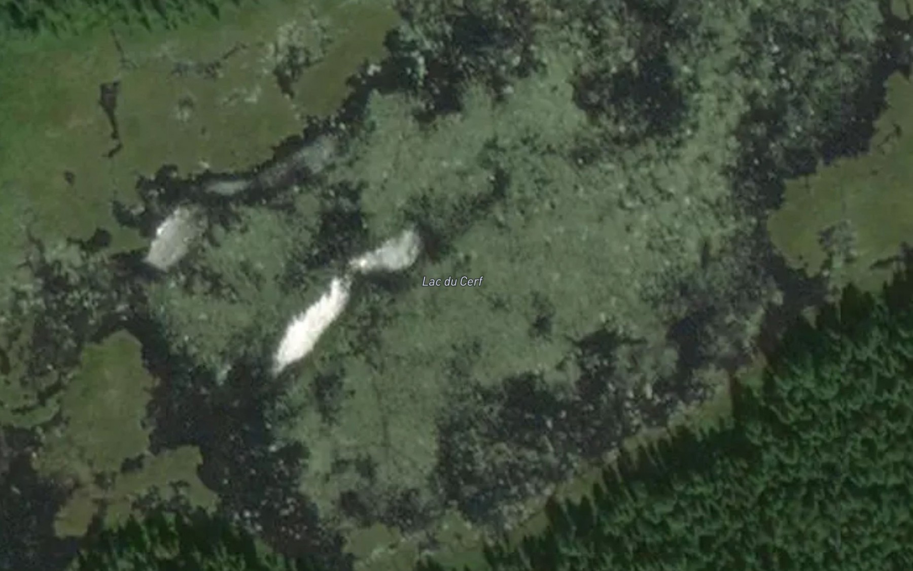Satellite map of the Lac du Cerf