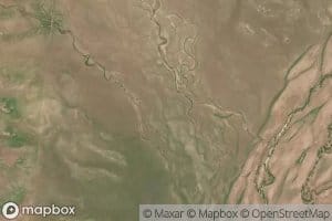 Dendron Creek