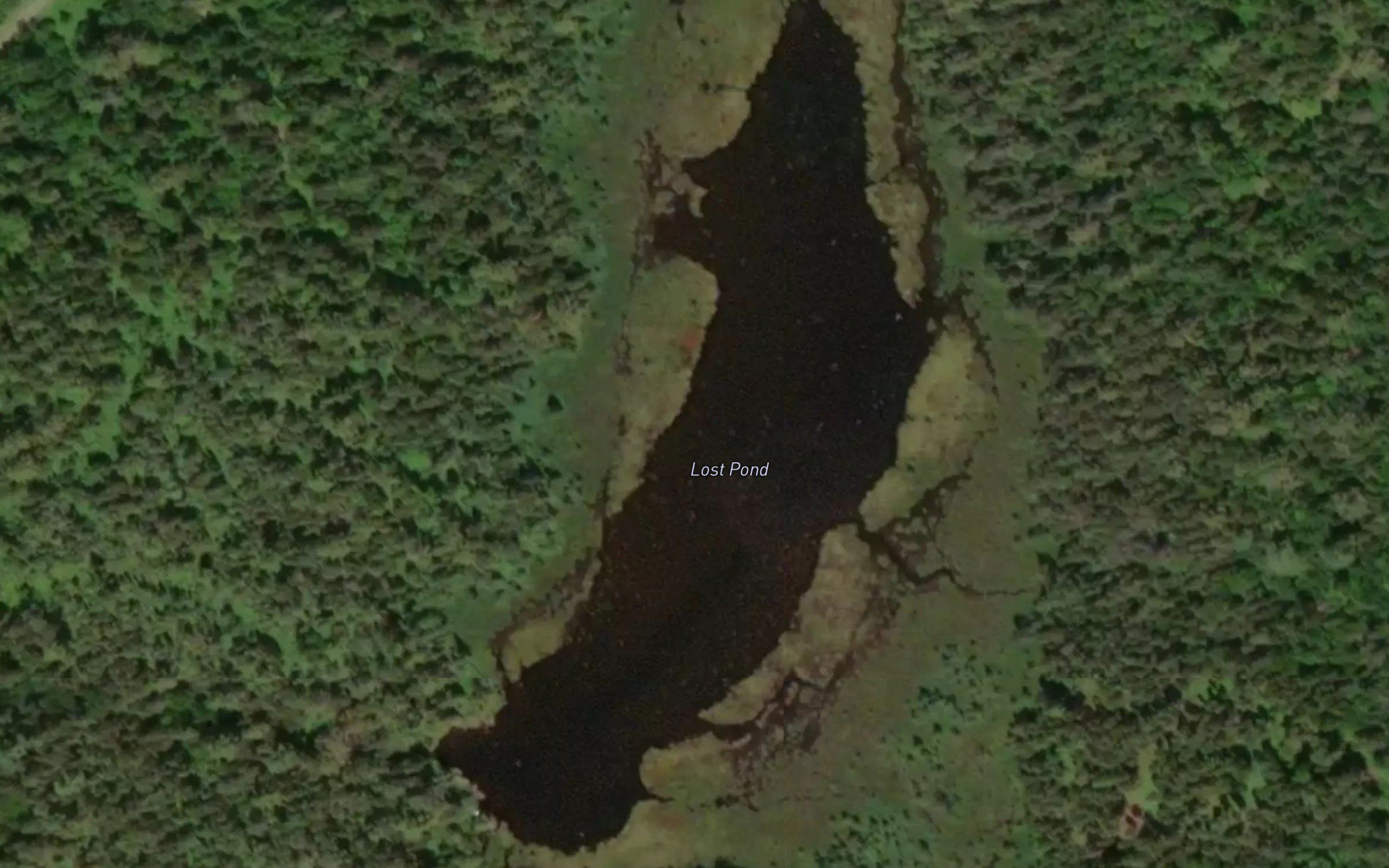 Lost Pond