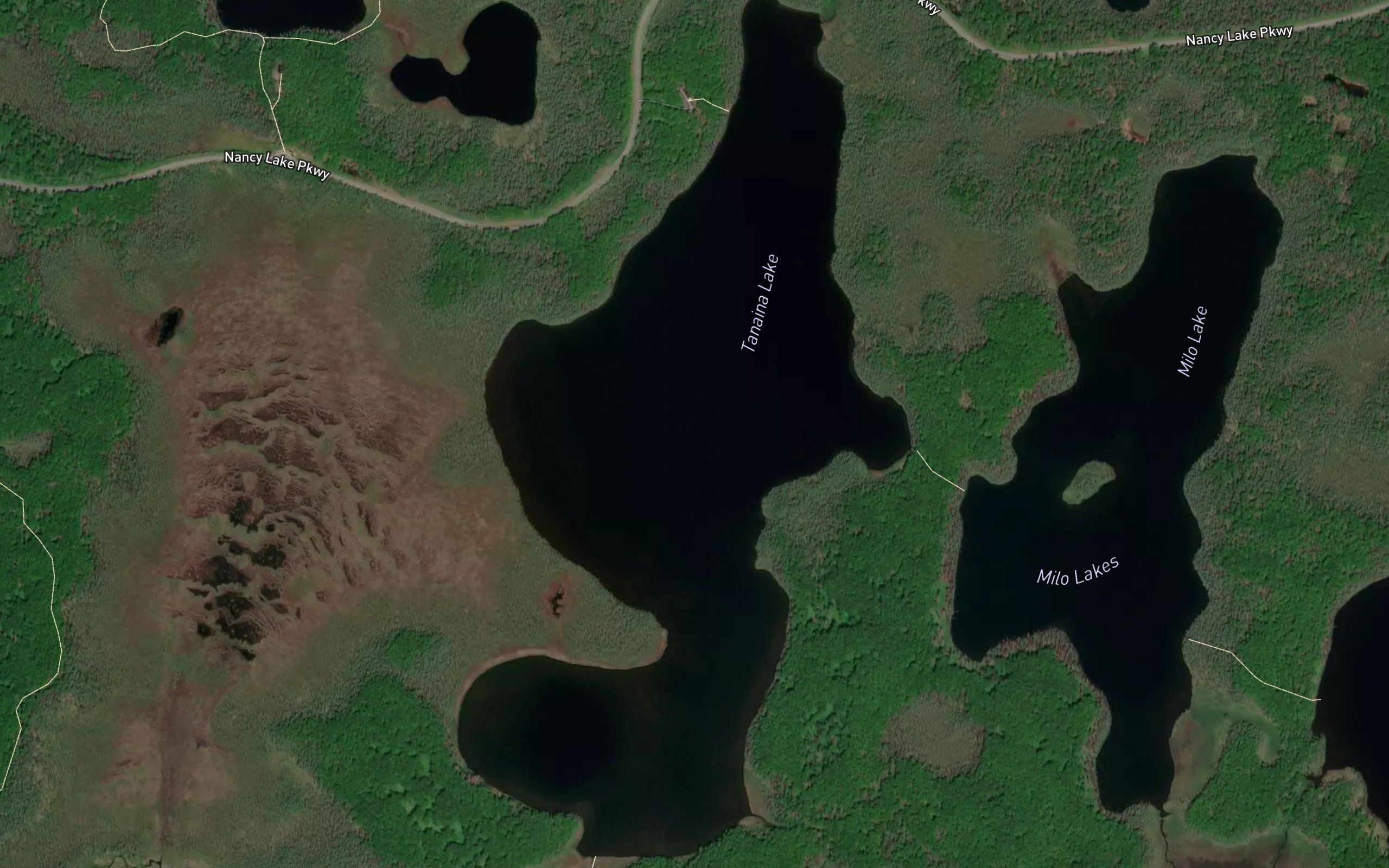 Tanaina Lake