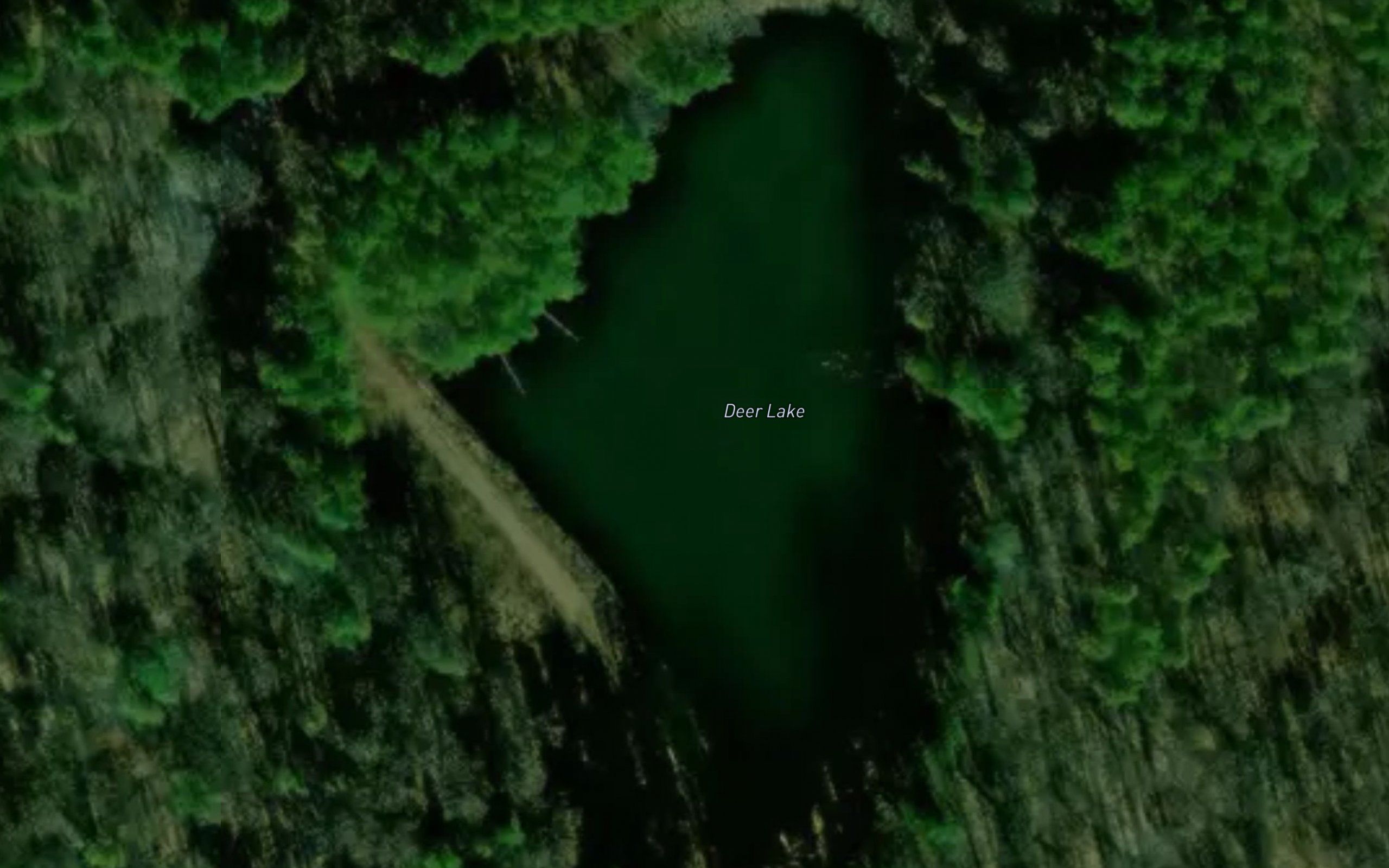 Deer Lake
