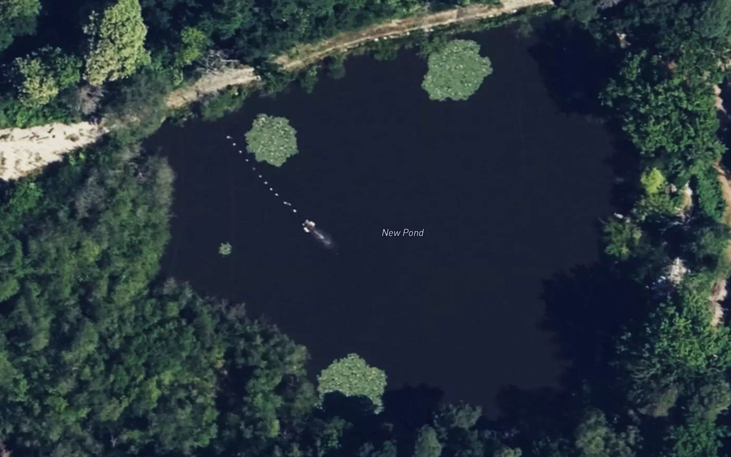 New Pond