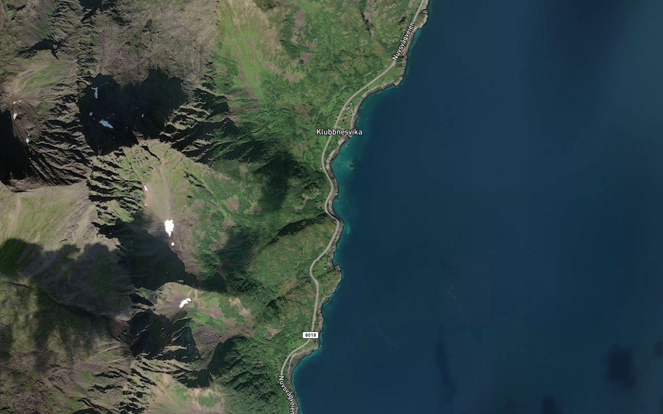 Elvevika