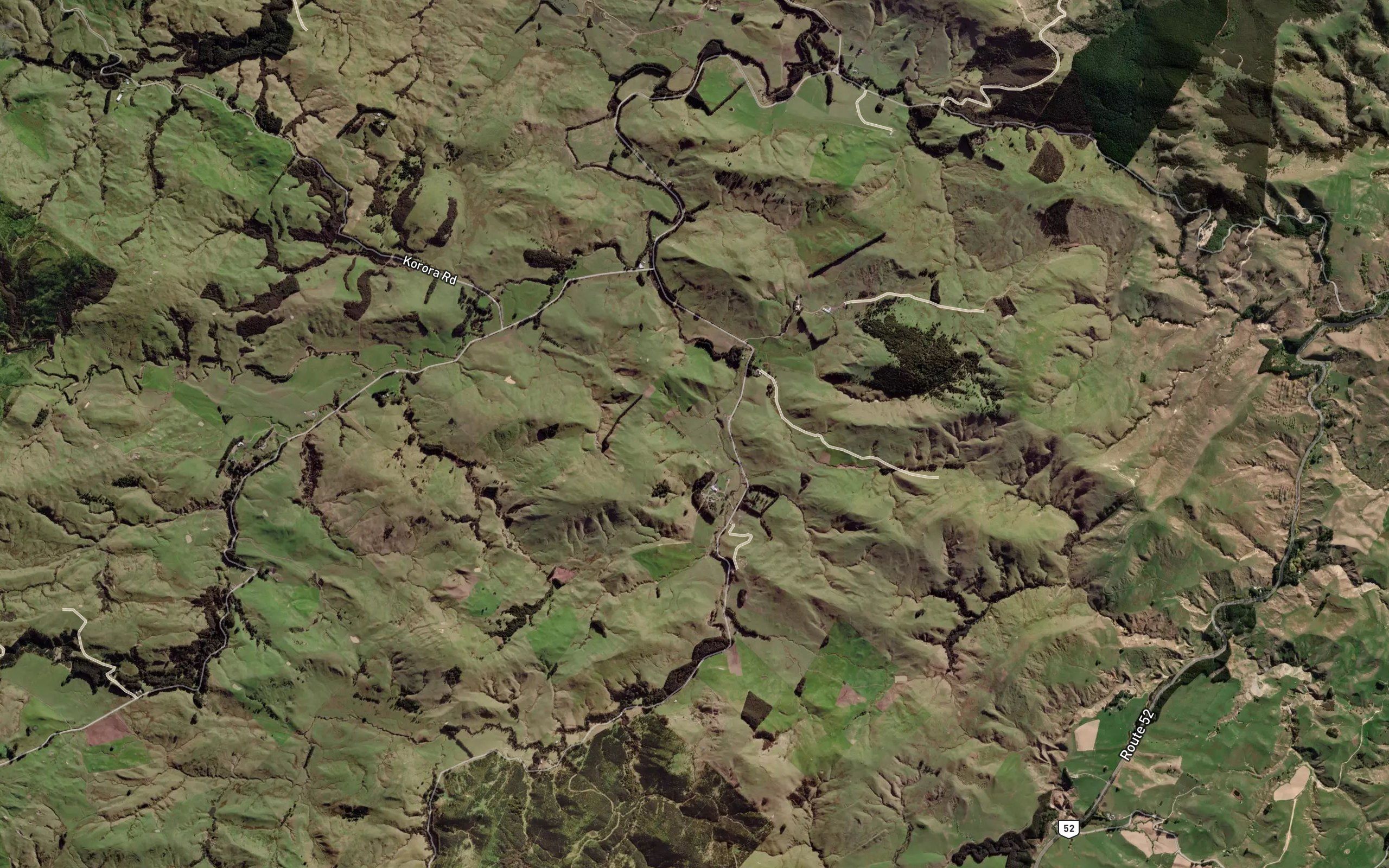 Waipaukaka Stream