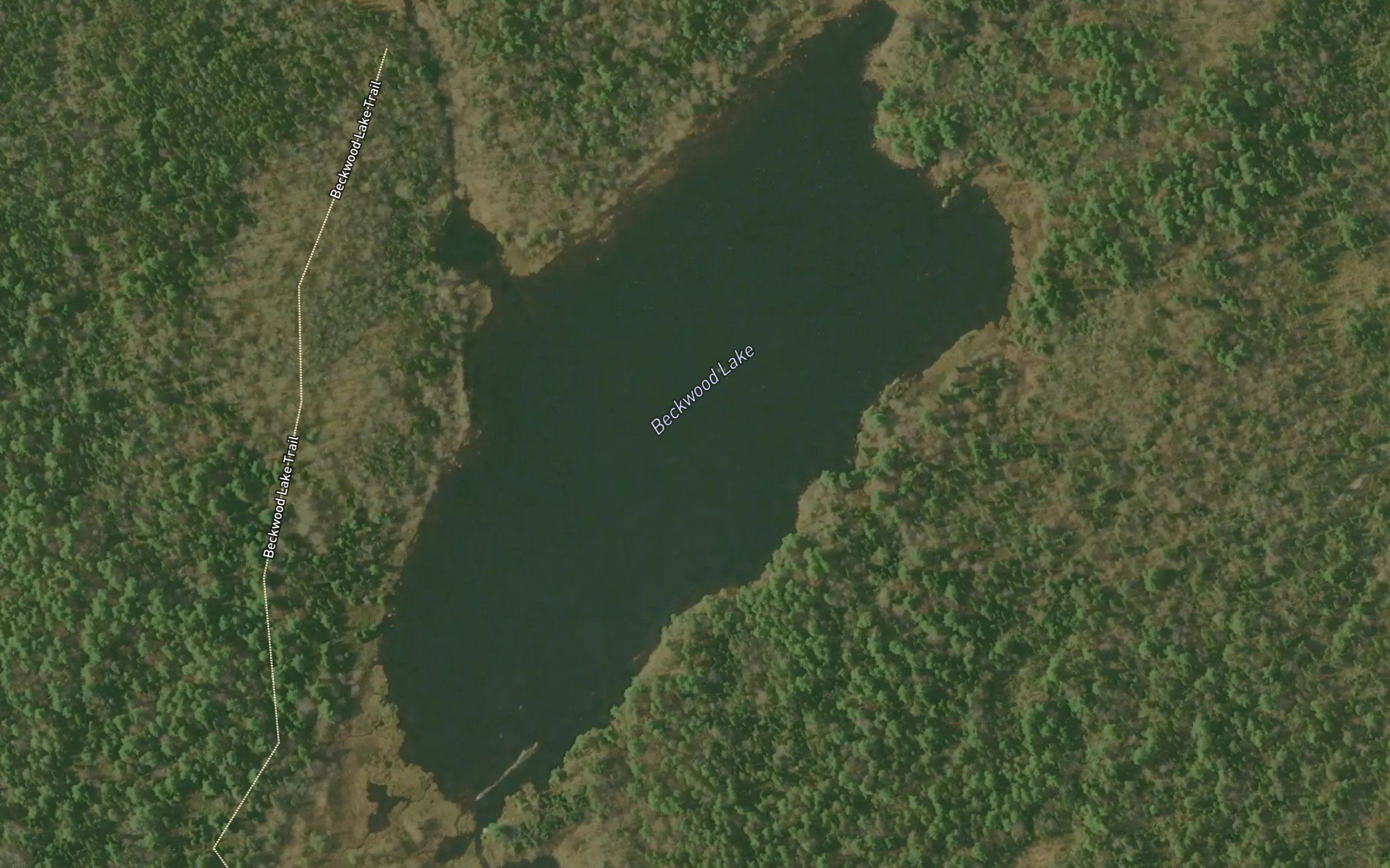 Beckwood Lake
