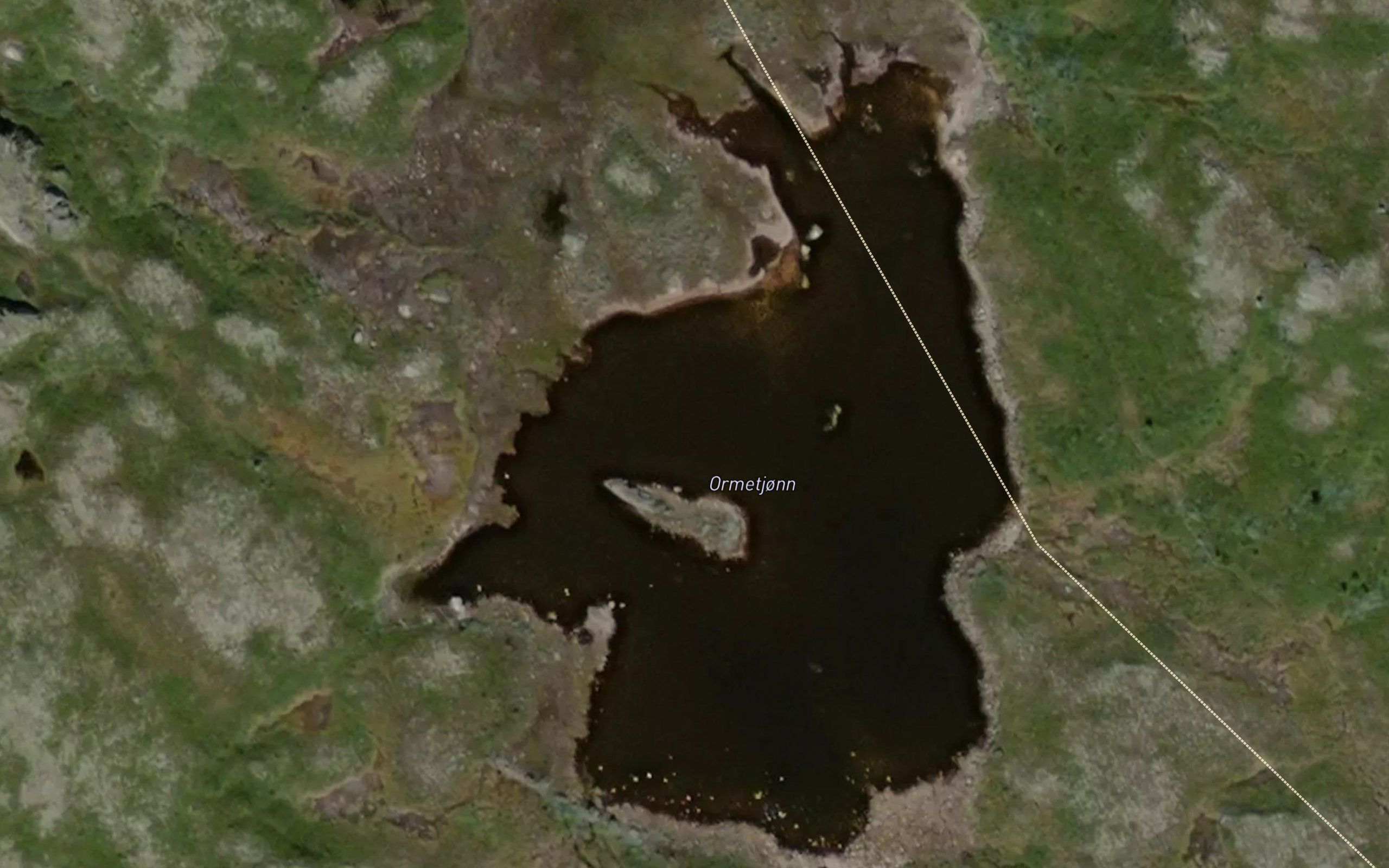 Ormetjorn