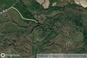 Hammock Lake