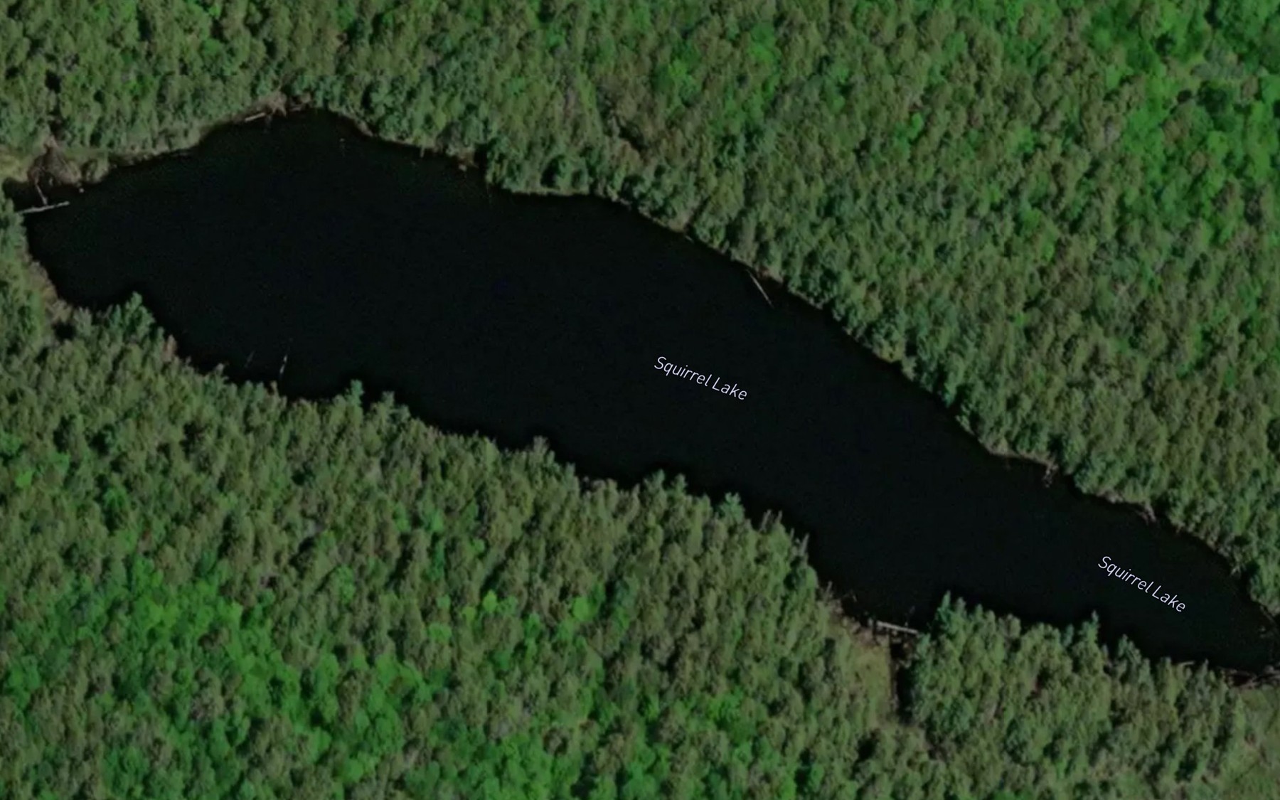 Satellite map of the Squirrel Lake