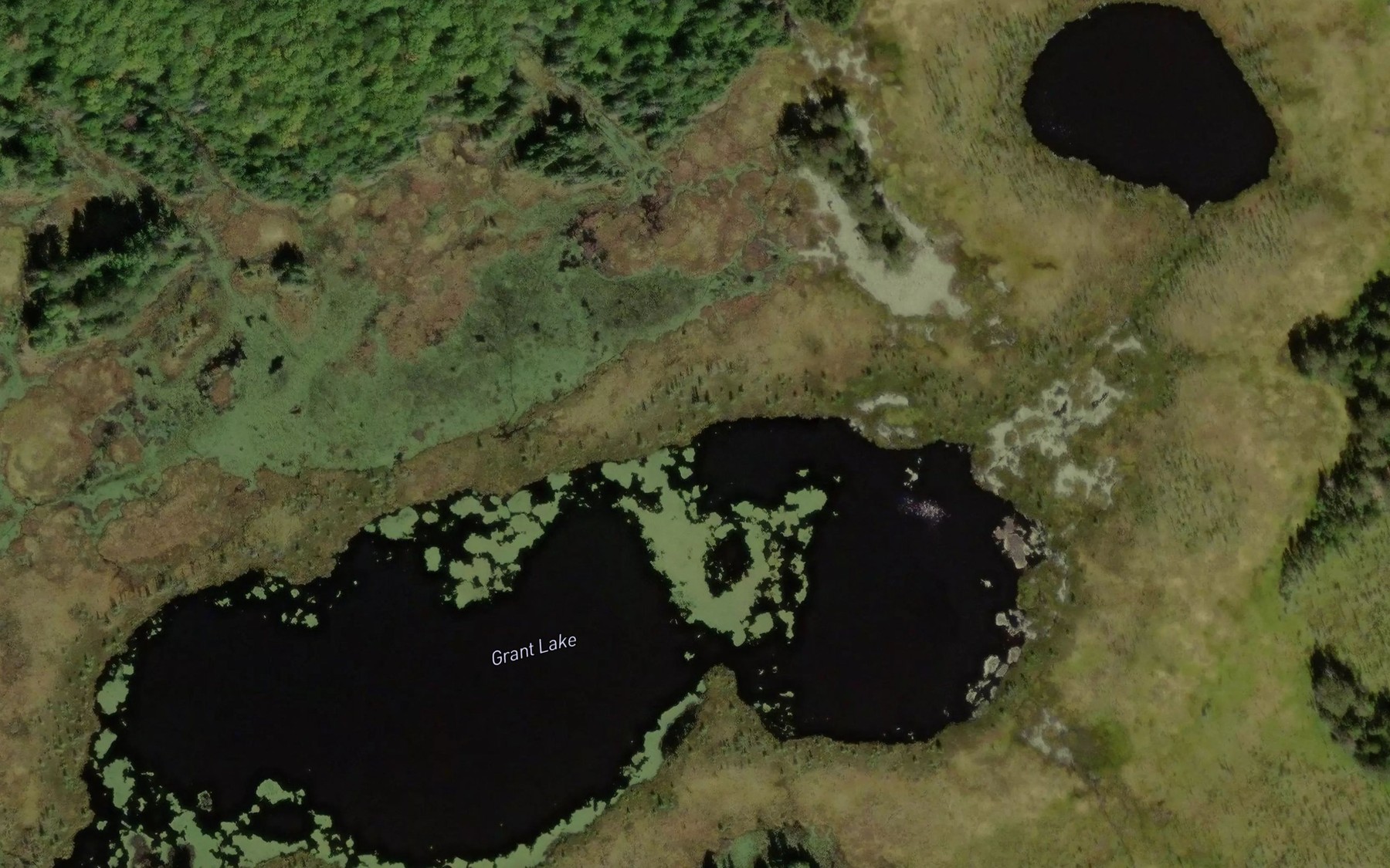 Satellite map of the Grant Lake