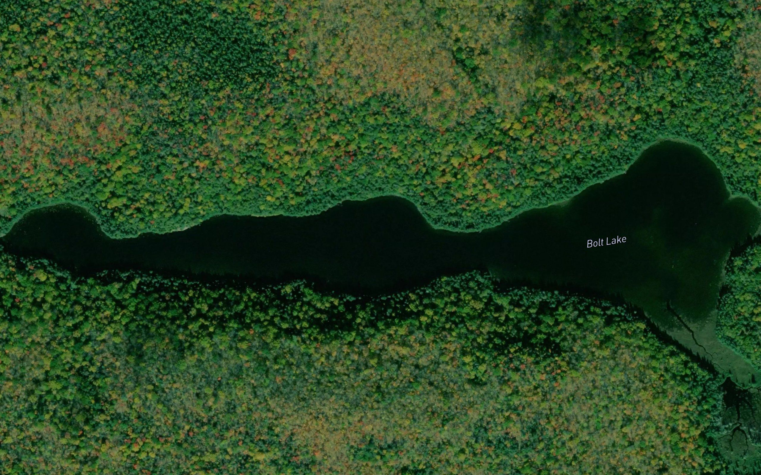 Bolt Lake