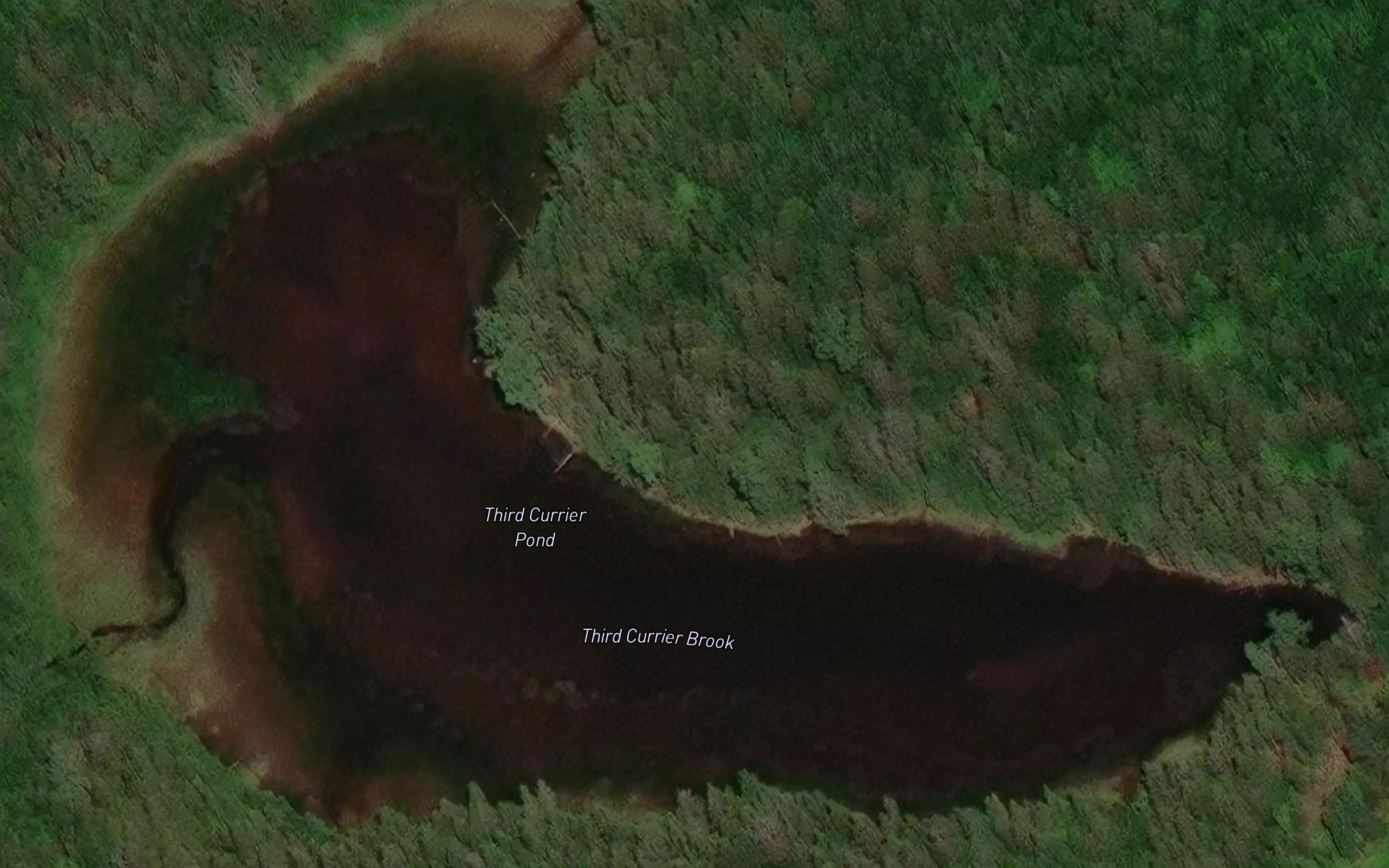 Third Currier Pond