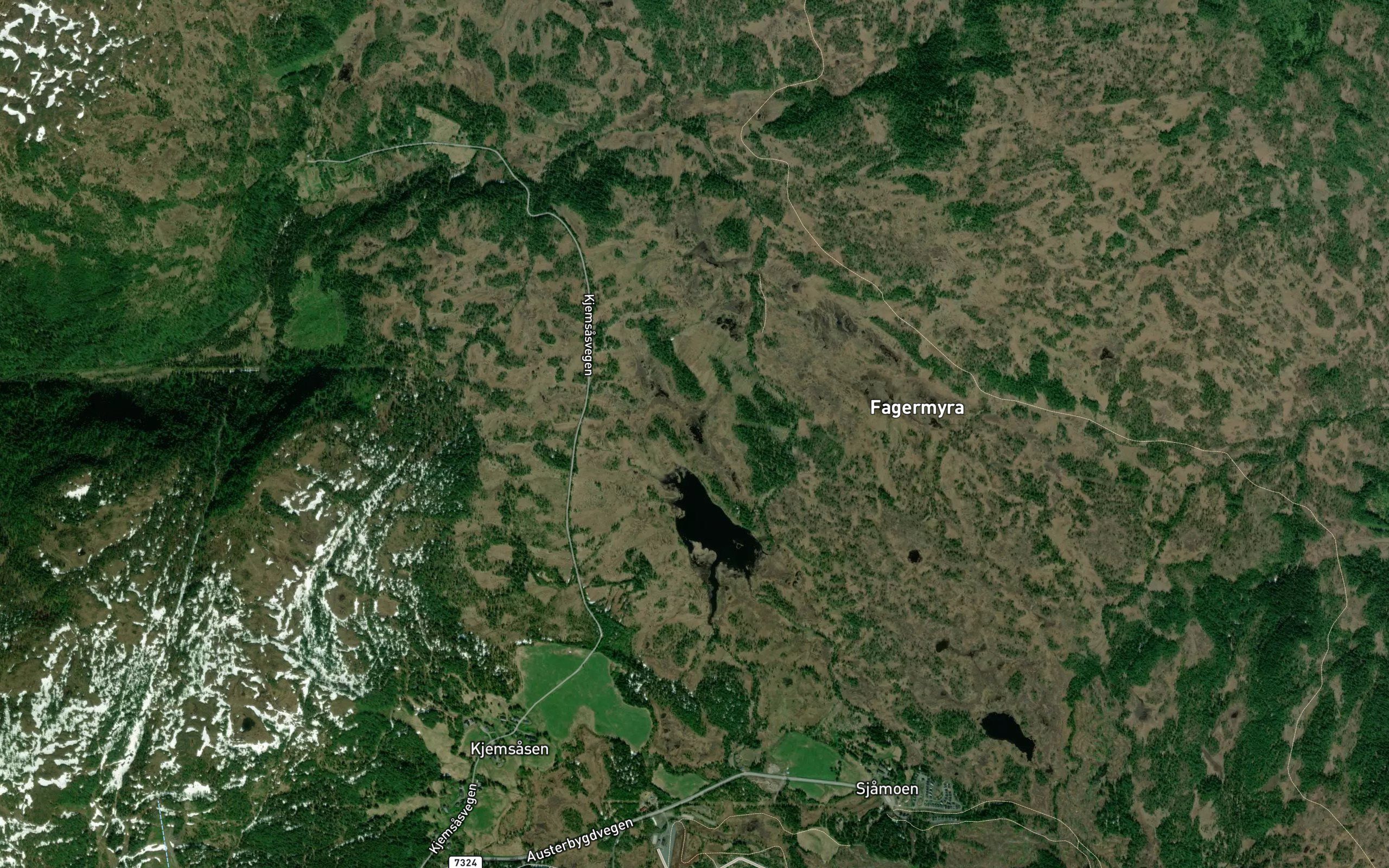 Lomtjorna