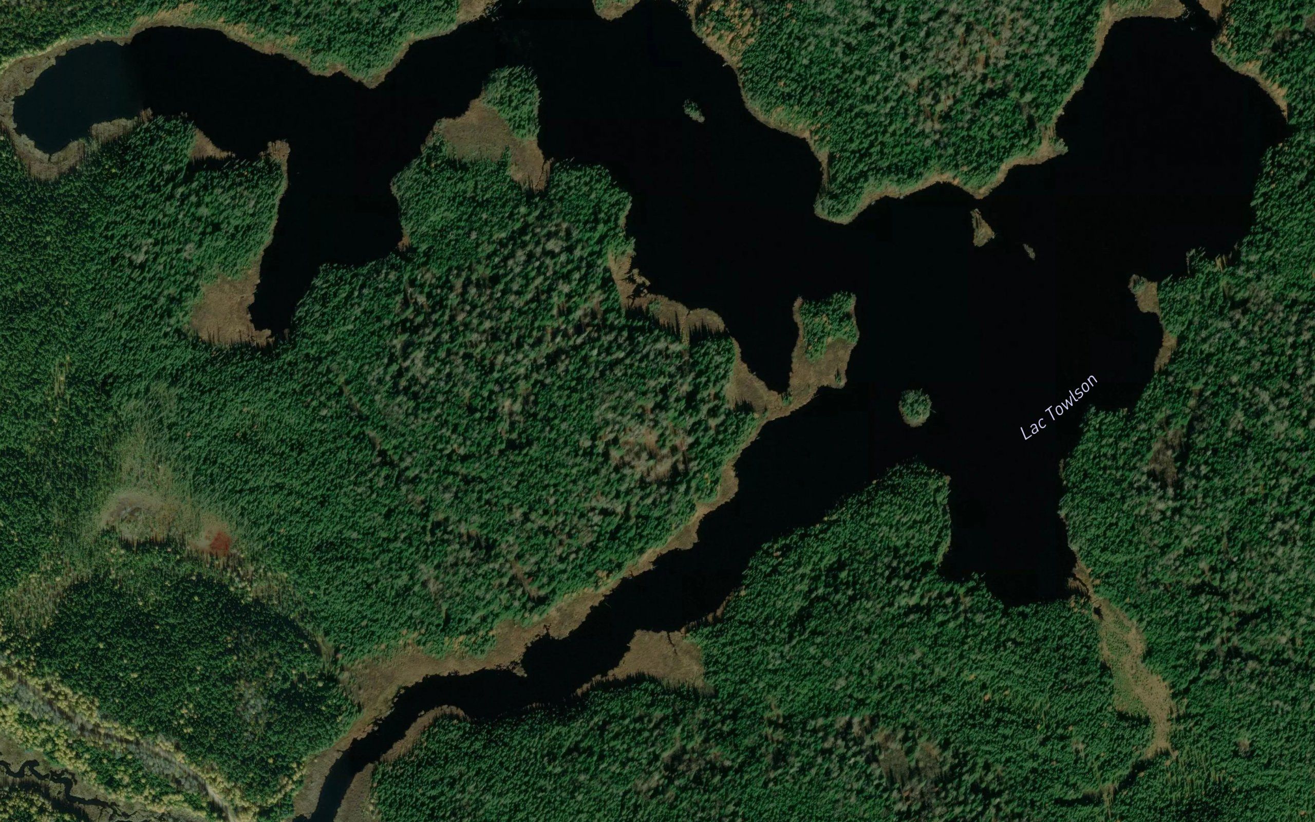 Lac Towlson