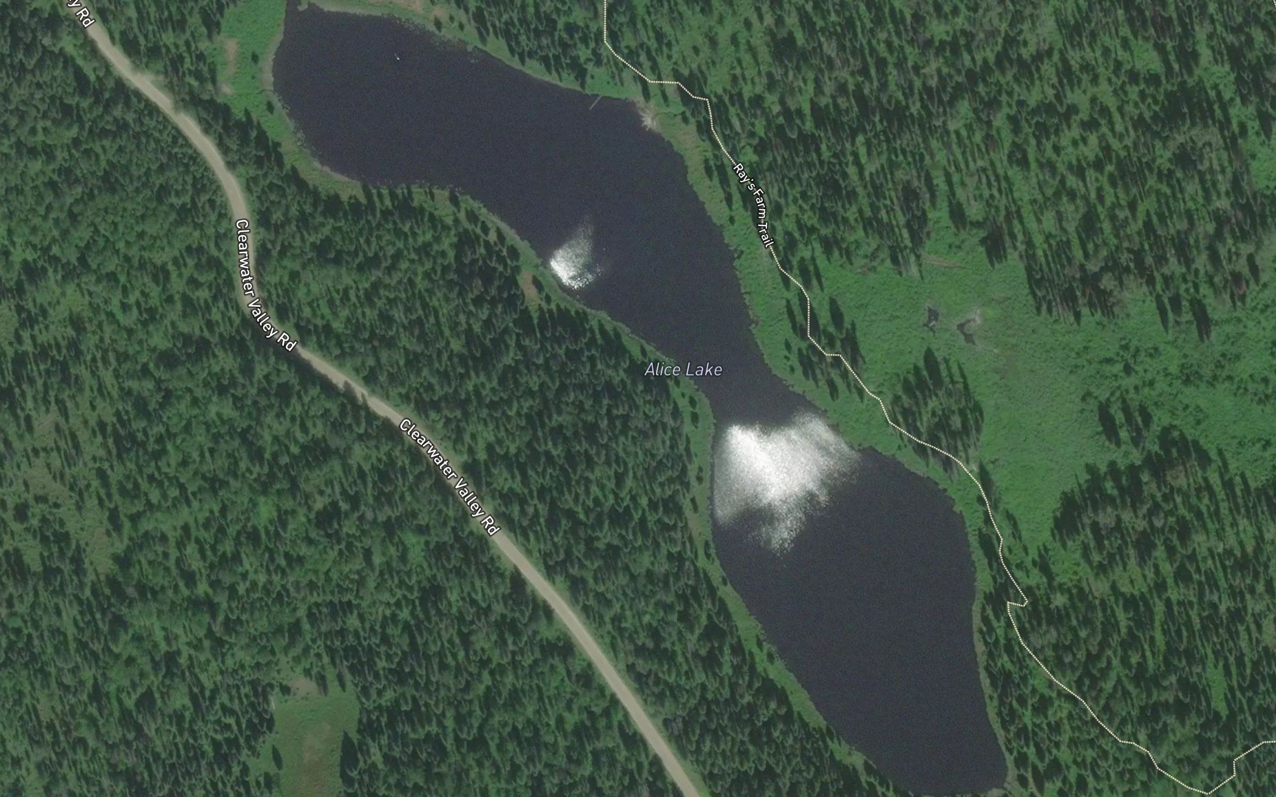 Alice Lake