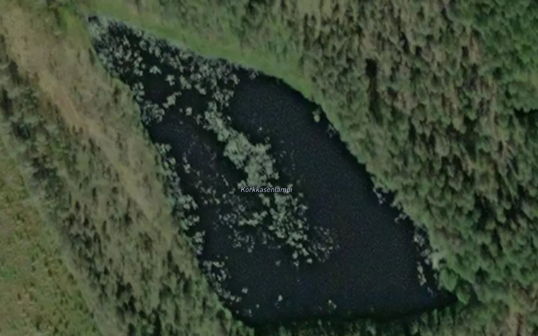 Satellite map of the Korkkasenlampi