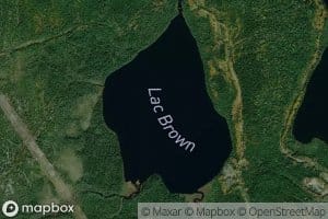 Lac Brown