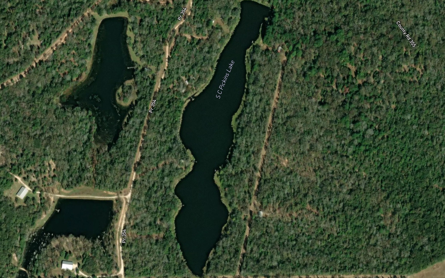 Satellite map of the S C Pickins Lake