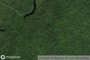 Rushy Lake Deadwater