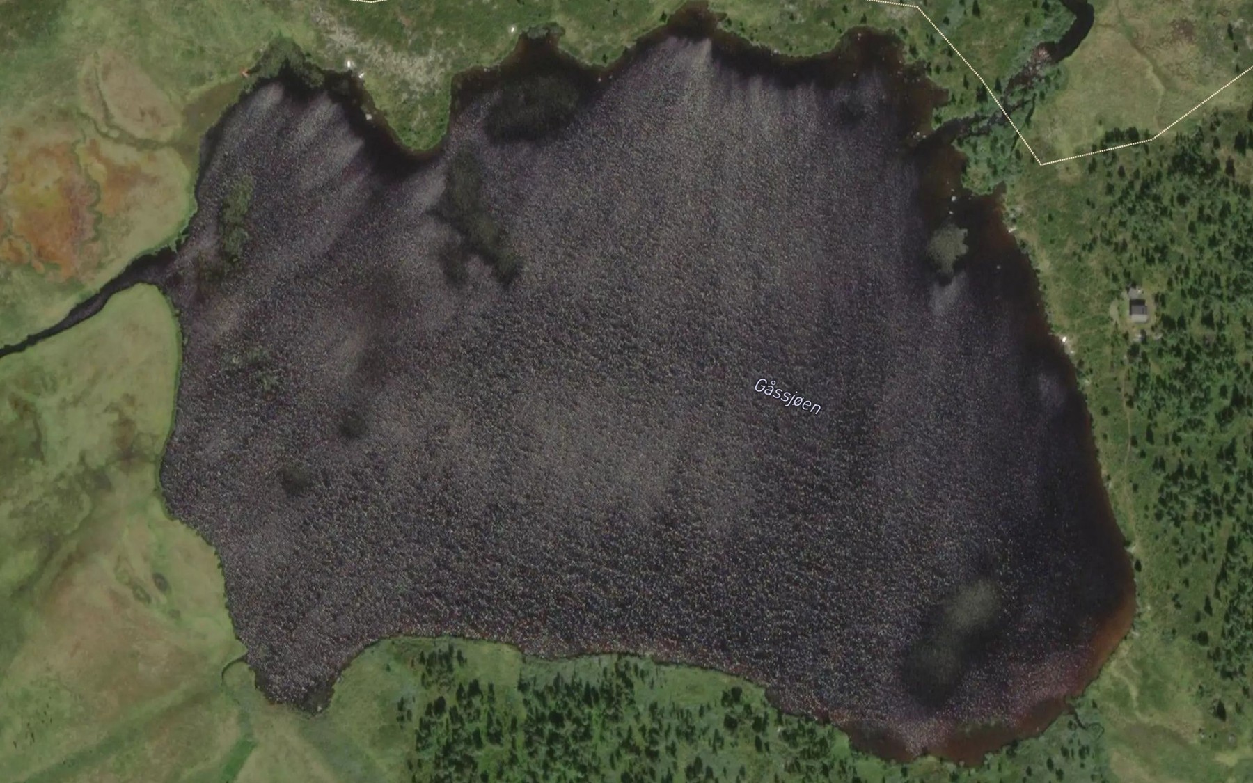 Satellite map of the Gassjoen