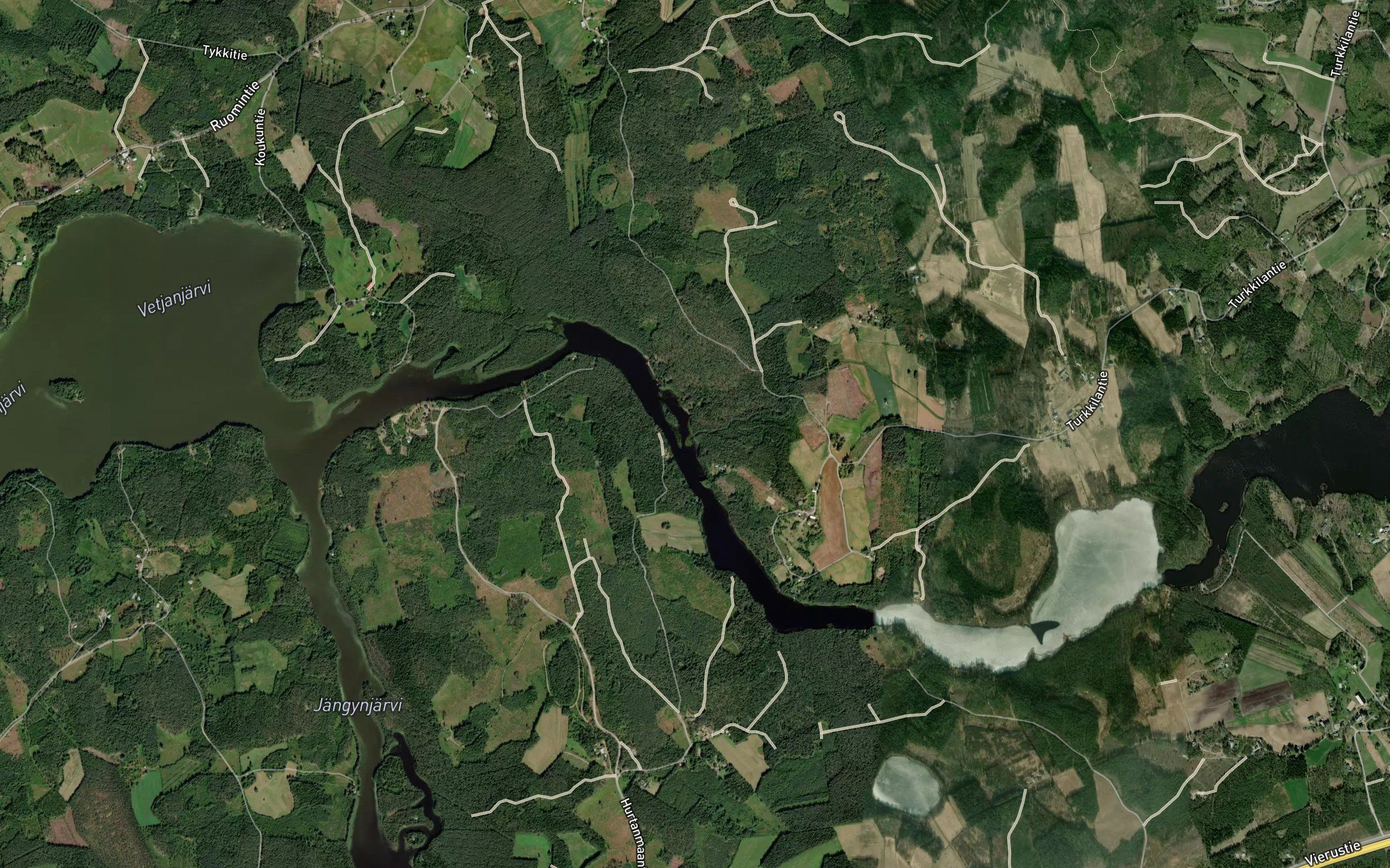 Kosenoja